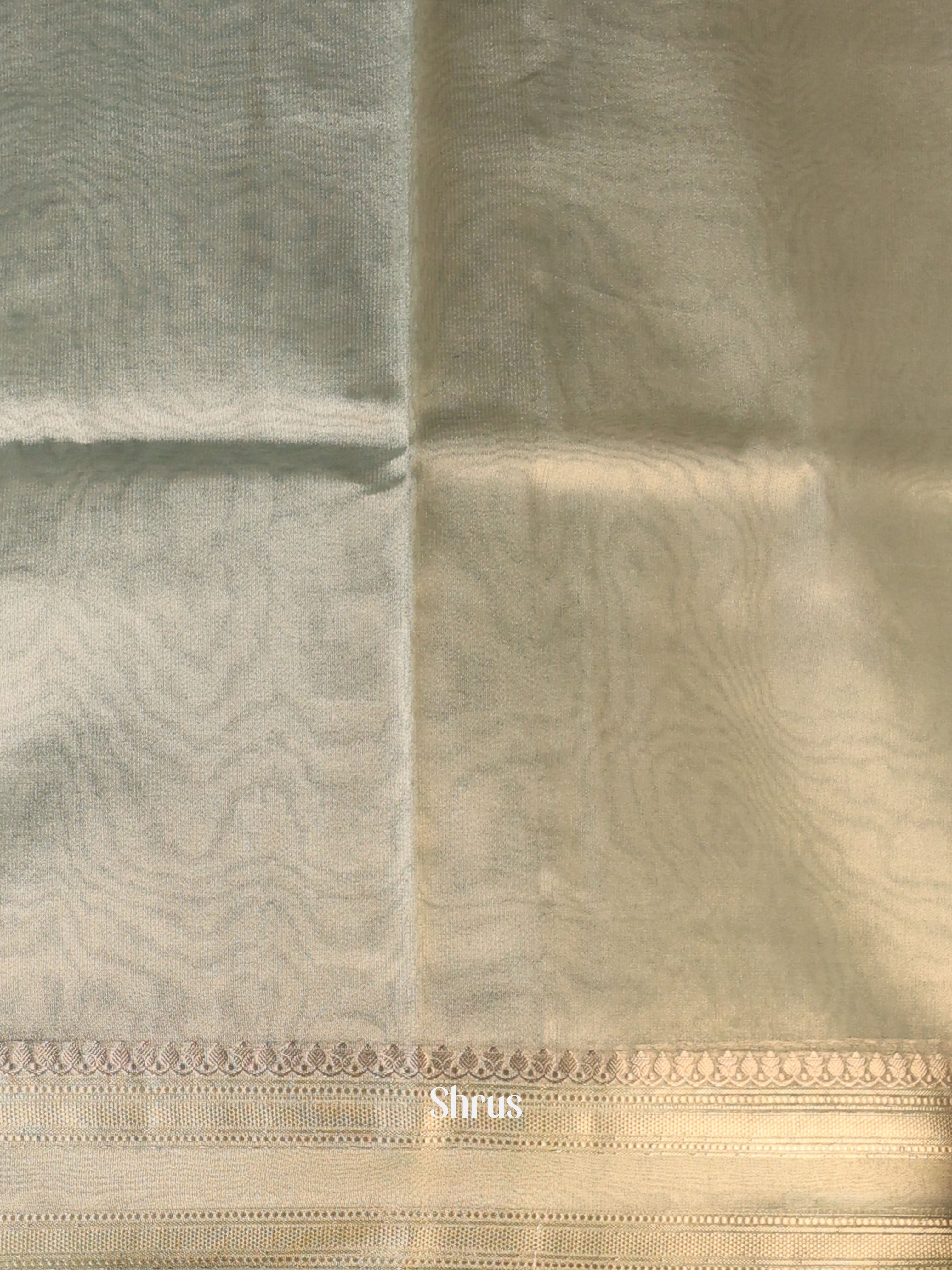 Grey - Semi Tissue Saree - Shop on Shrus.com