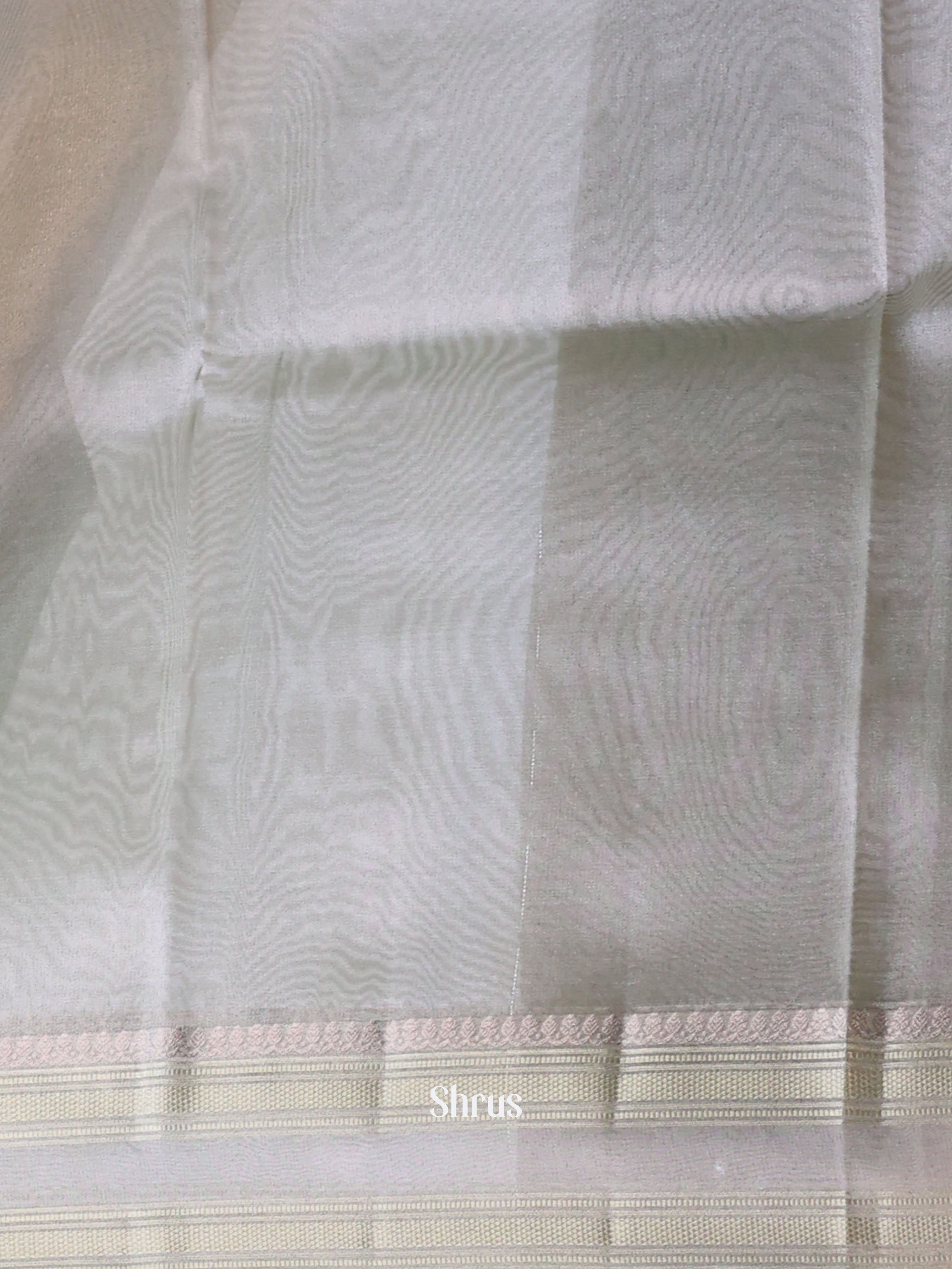 Grey- Semi Tissue Saree - Shop on Shrus.com