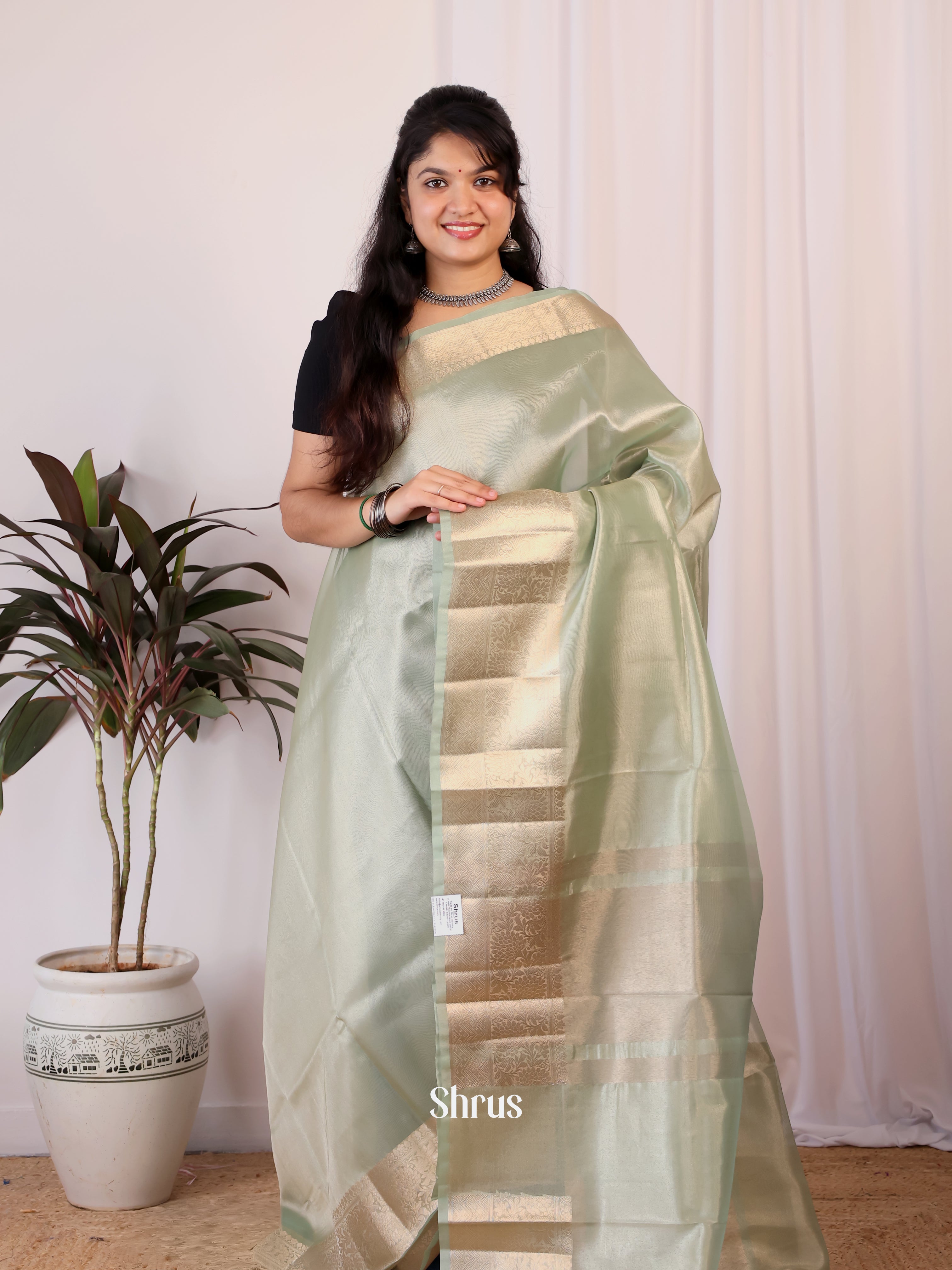 Pastel Green - Semi Tissue Saree - Shop on Shrus.com