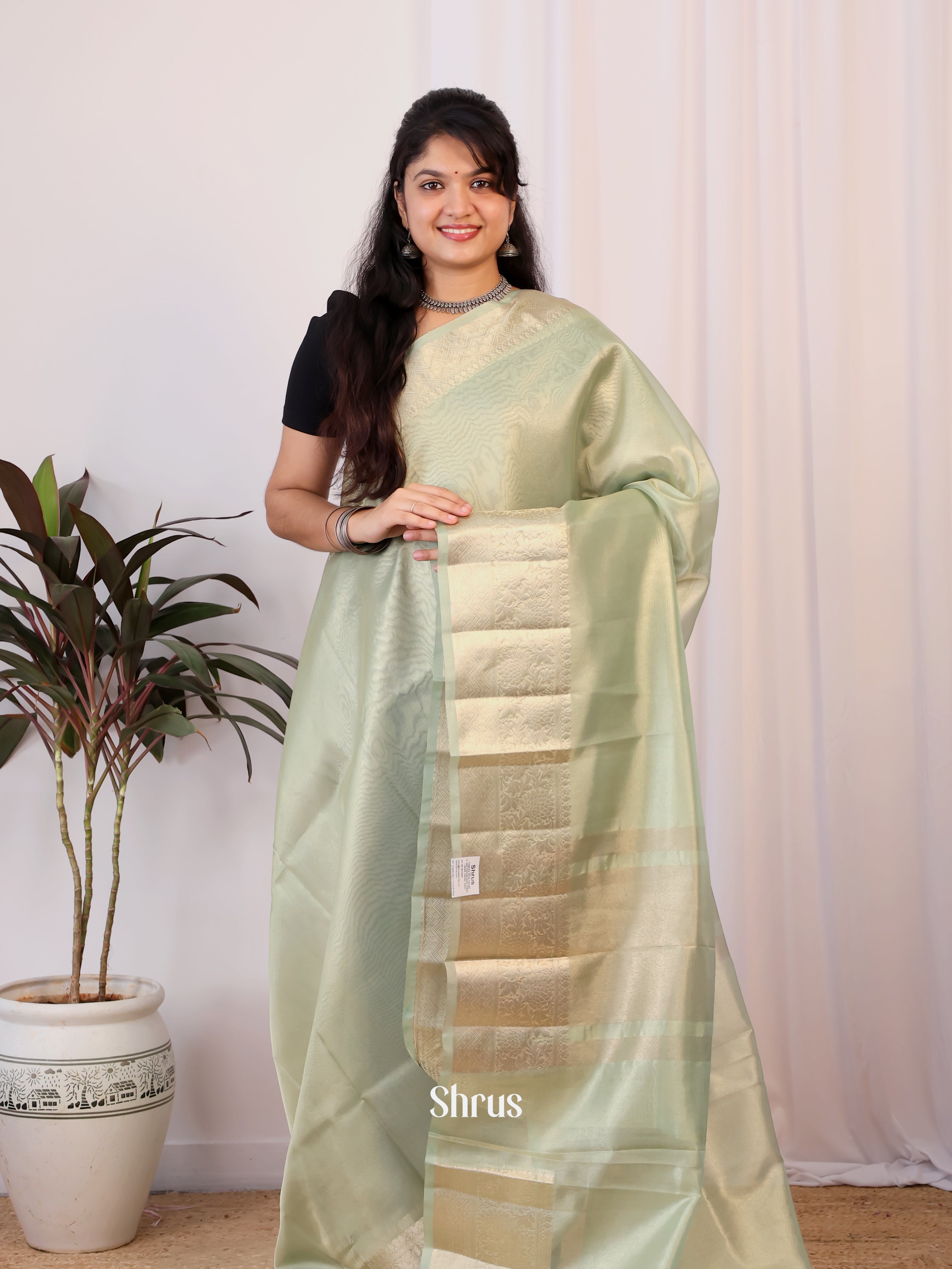 Lite Green - Semi Tissue Saree - Shop on Shrus.com