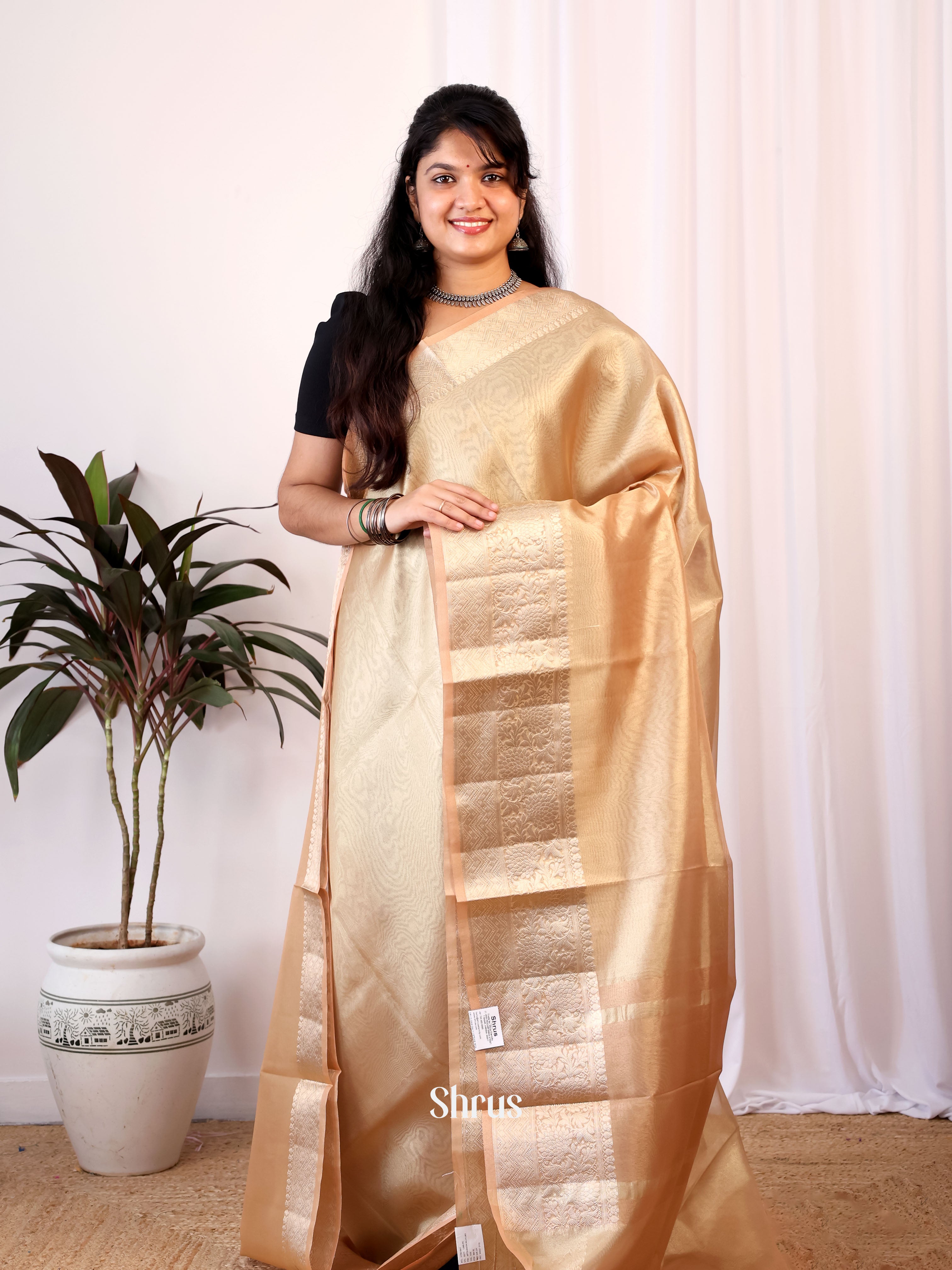 Lite Brown- Semi Tissue Saree - Shop on Shrus.com