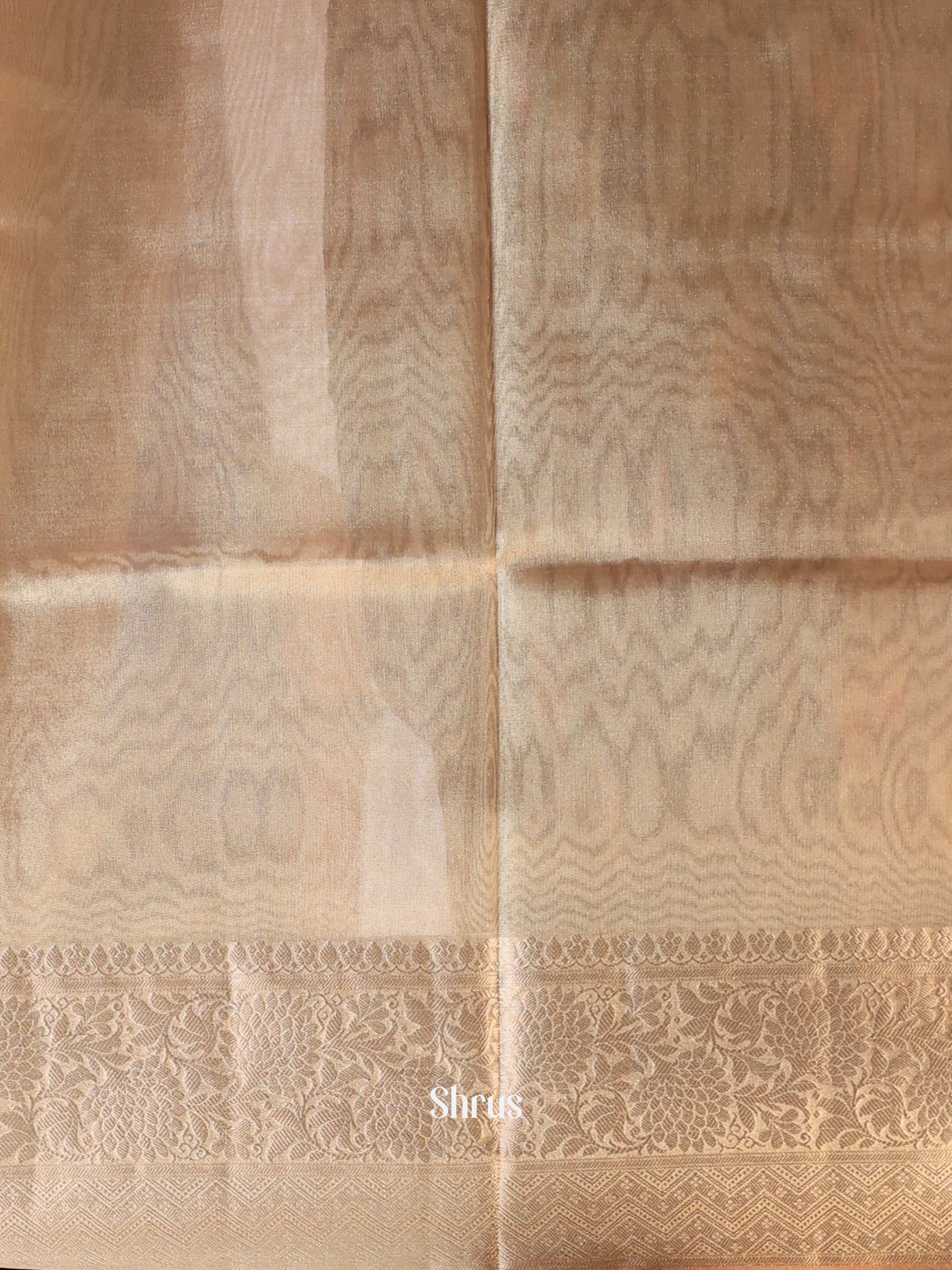 Lite Brown- Semi Tissue Saree - Shop on Shrus.com