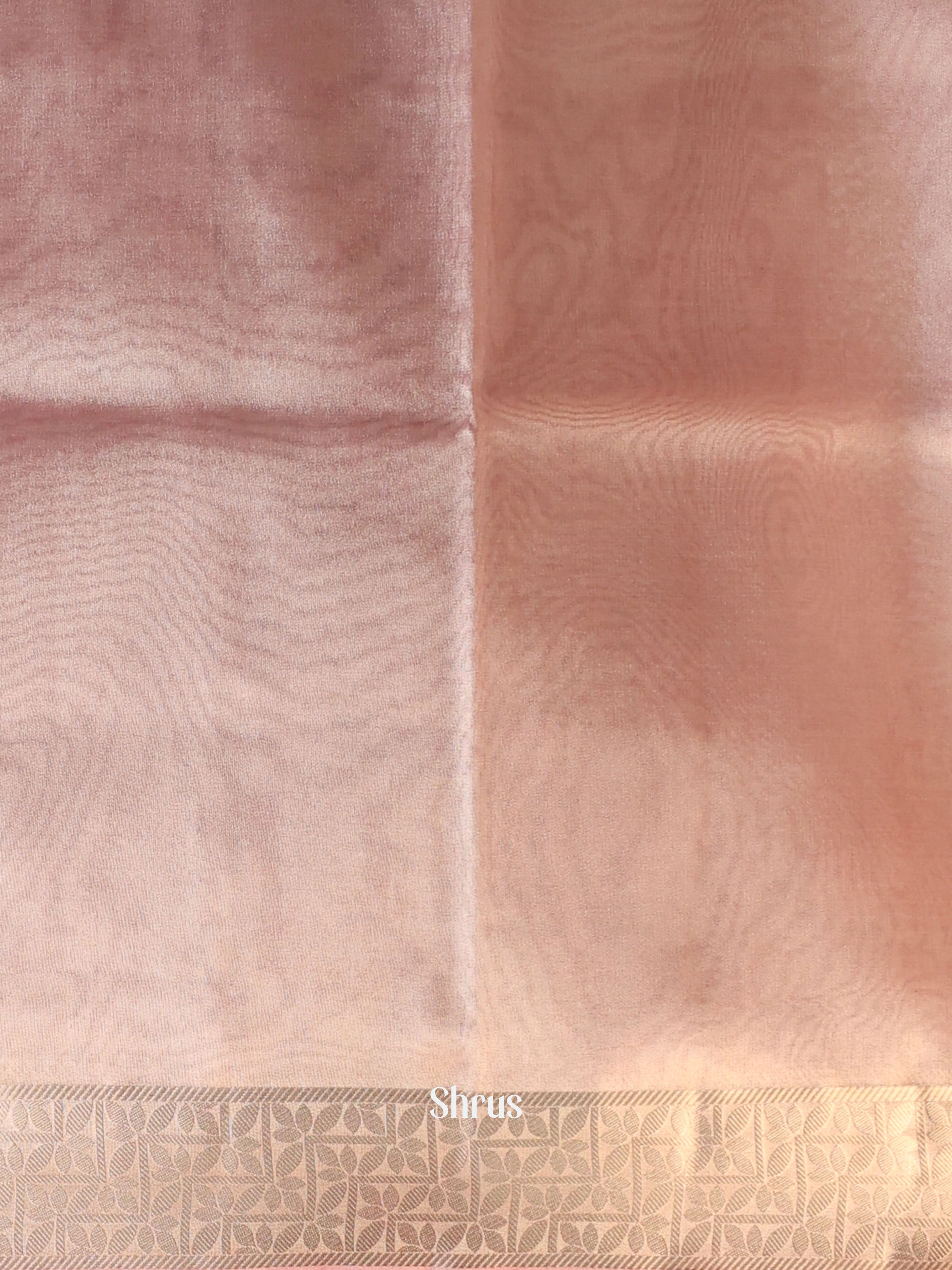 CIS24165 - Semi Tissue Saree - Shop on Shrus.com