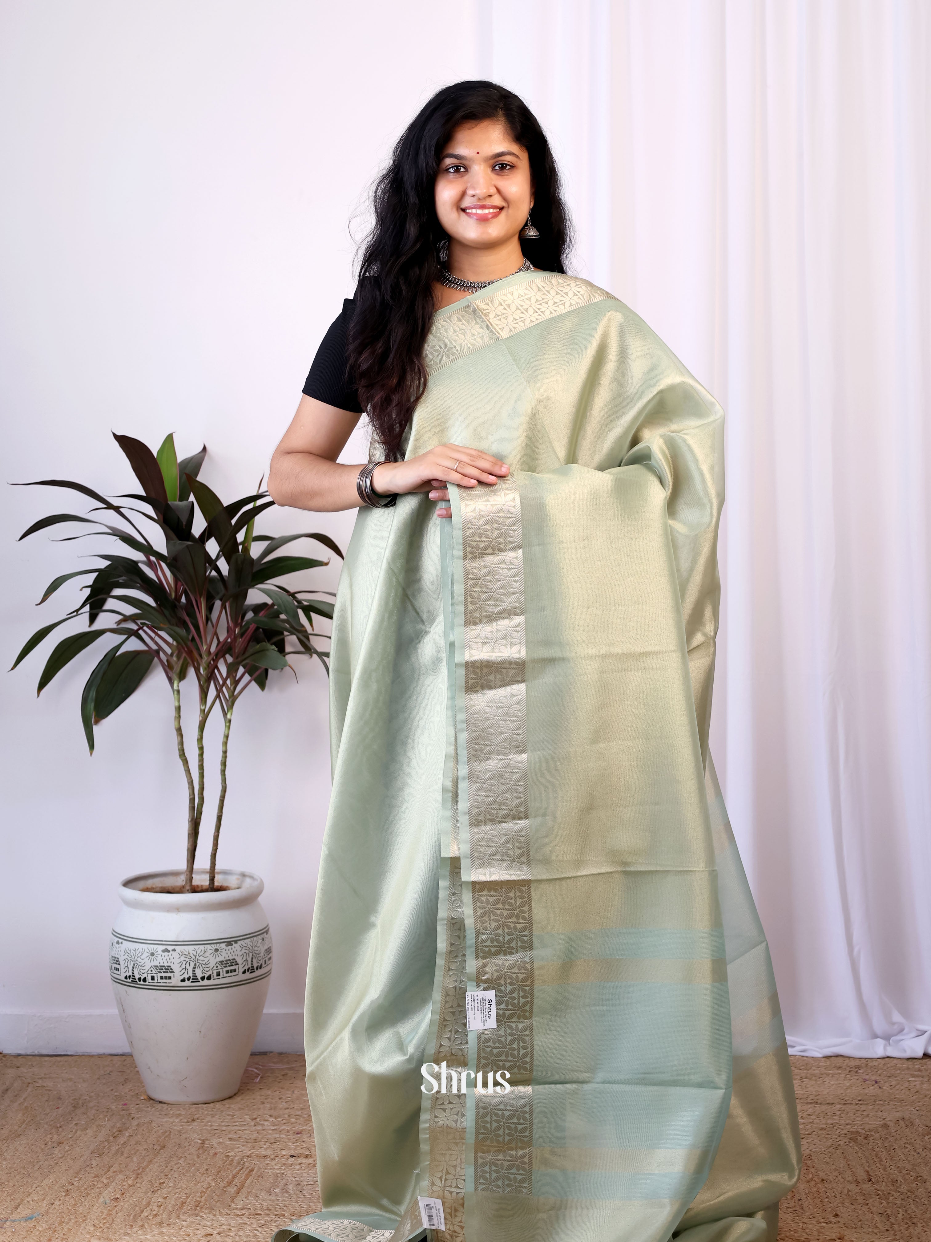 Pastel Green- Semi Tissue Saree - Shop on Shrus.com
