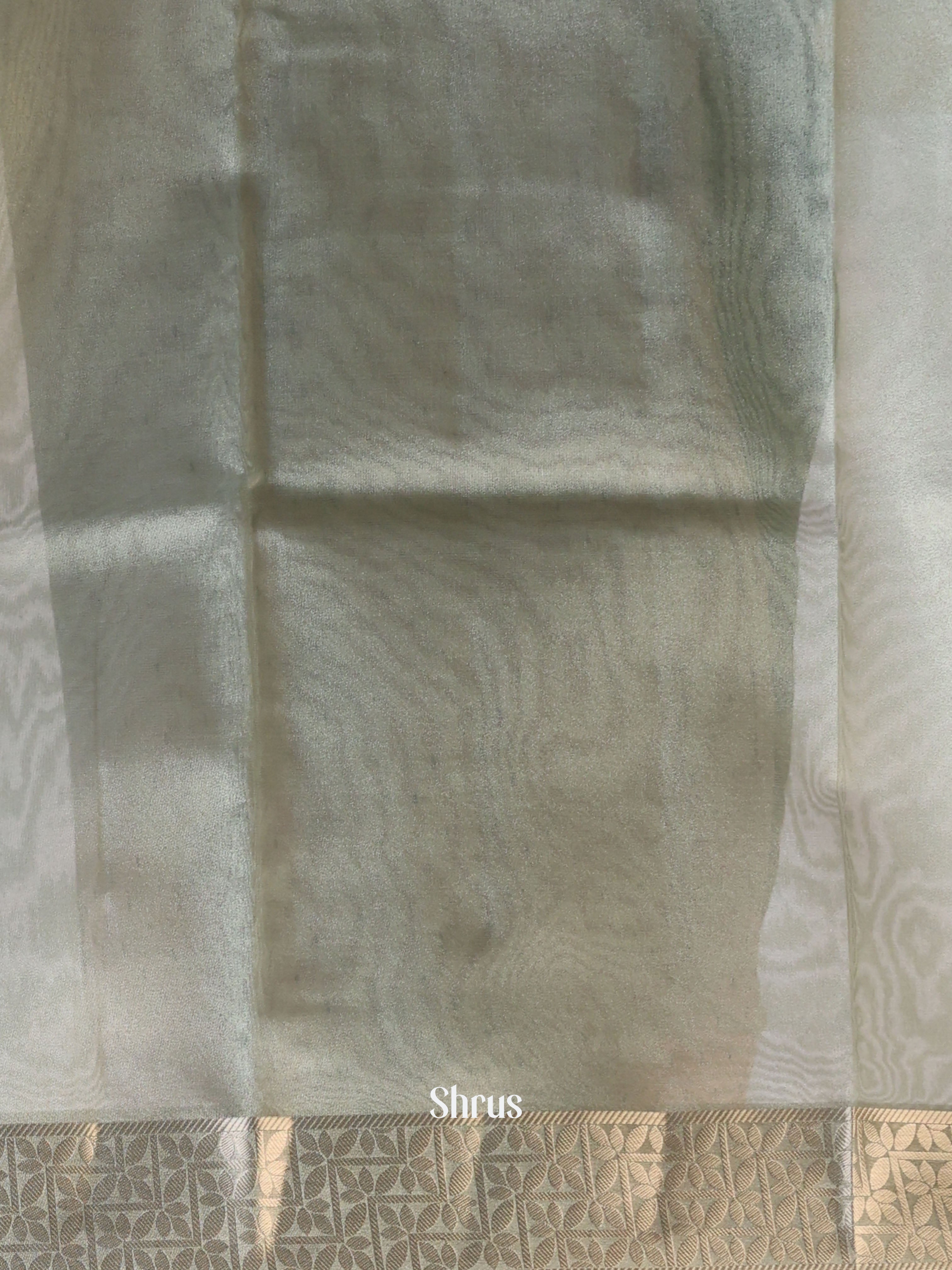 Pastel Green- Semi Tissue Saree - Shop on Shrus.com