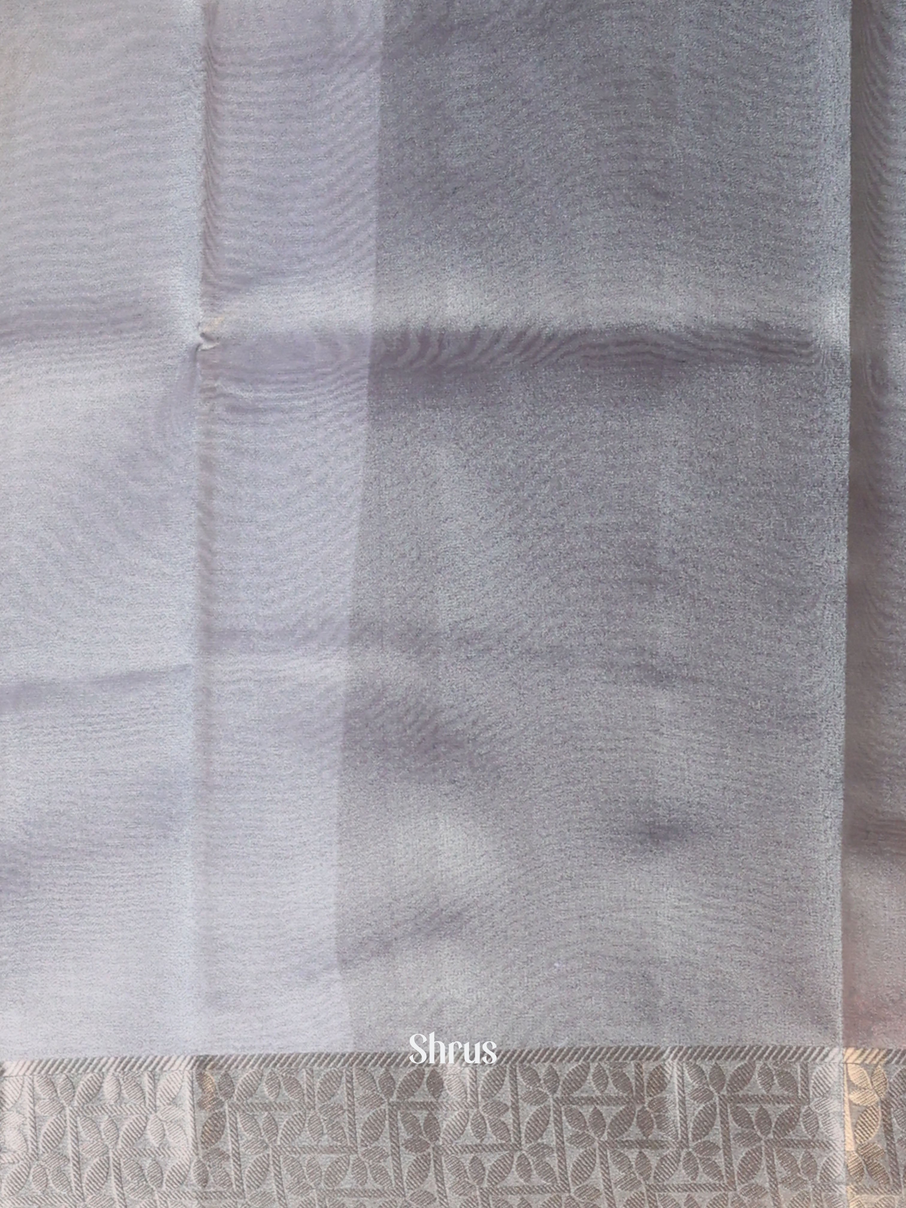 Grey- Semi Tissue Saree - Shop on Shrus.com