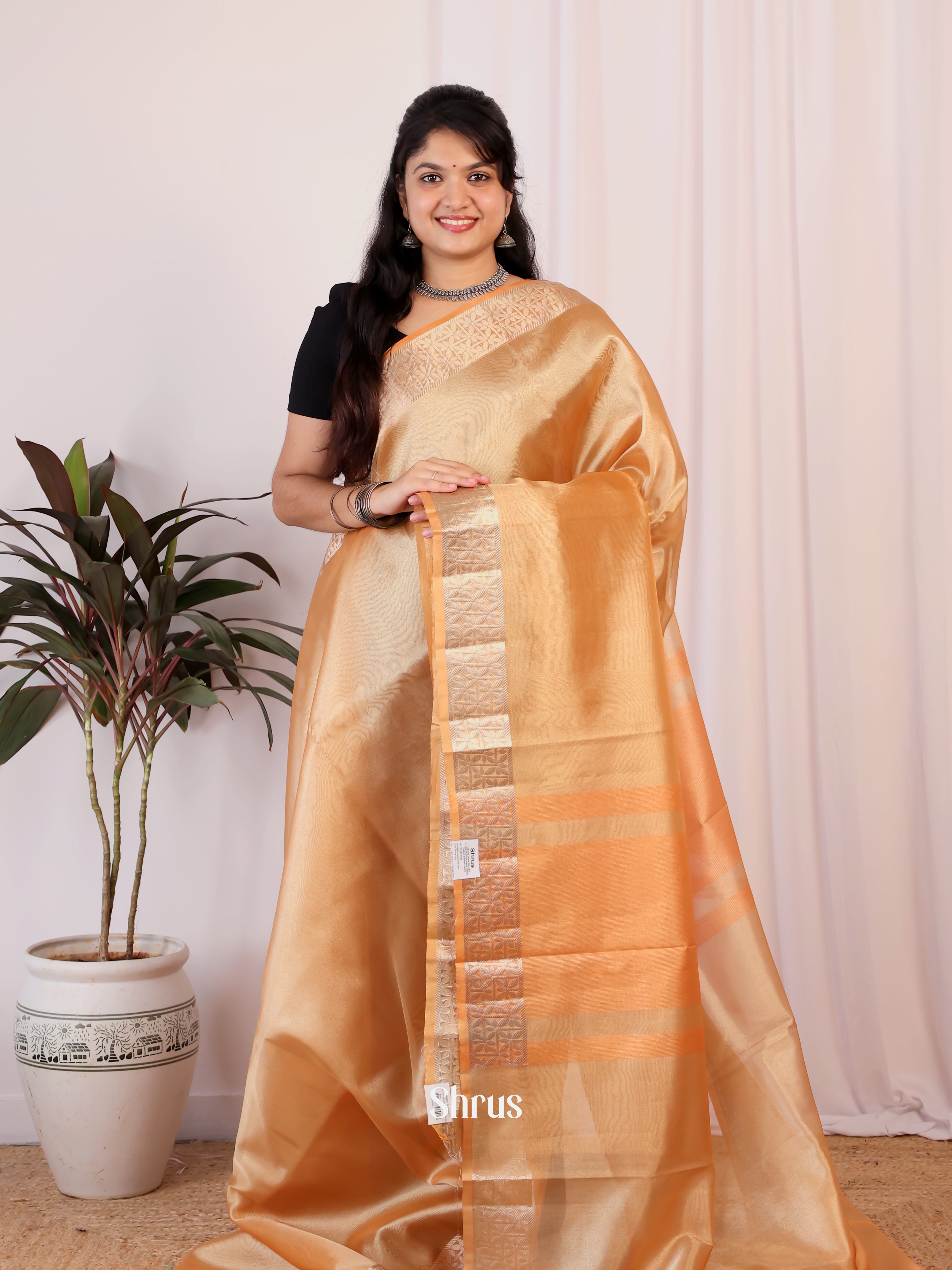 Rust - Semi Tissue Saree - Shop on Shrus.com