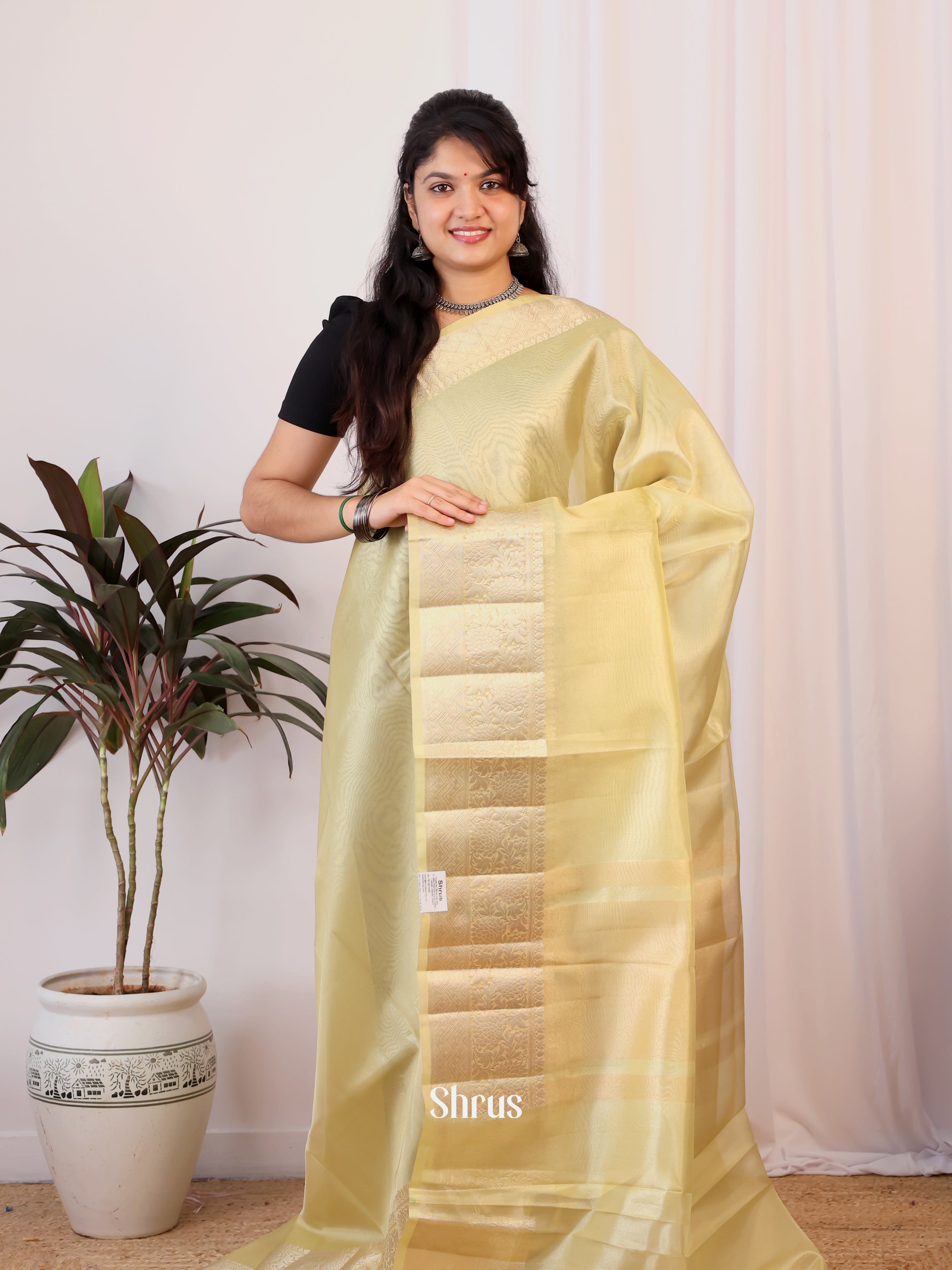 Pastel Green- Semi Tissue Saree - Shop on Shrus.com