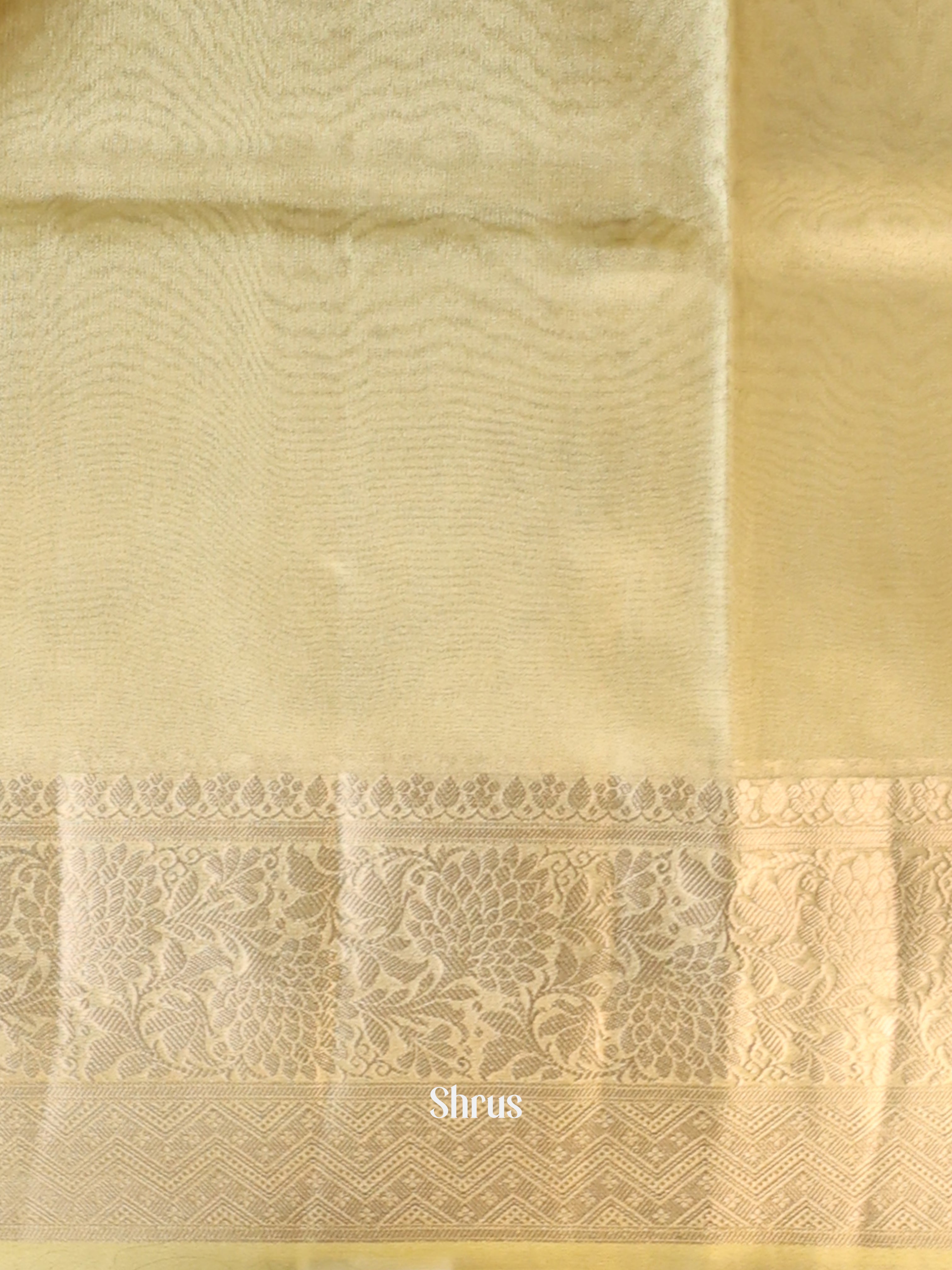 Pastel Green- Semi Tissue Saree - Shop on Shrus.com