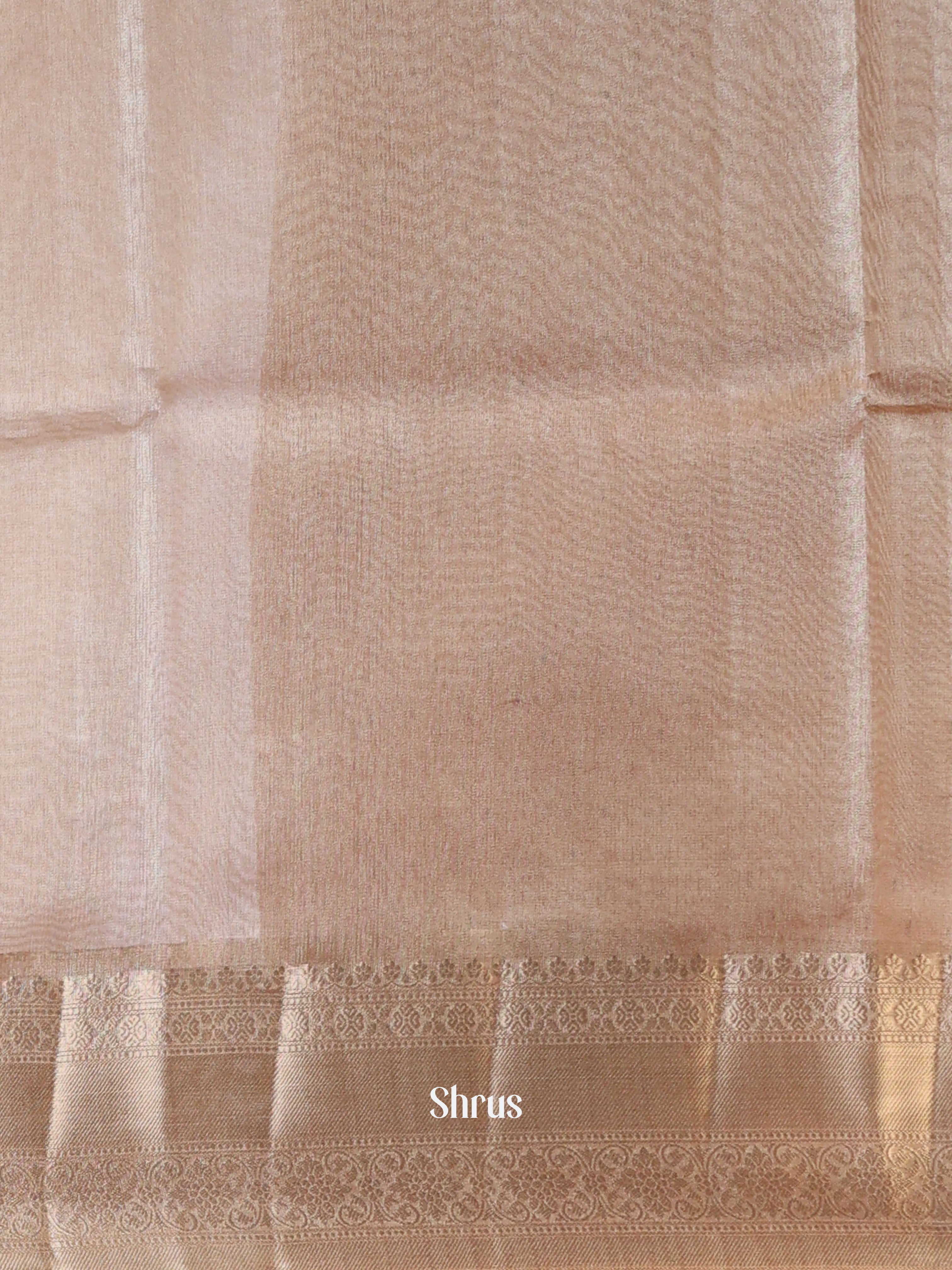 Peach - Semi Tissue Saree - Shop on Shrus.com