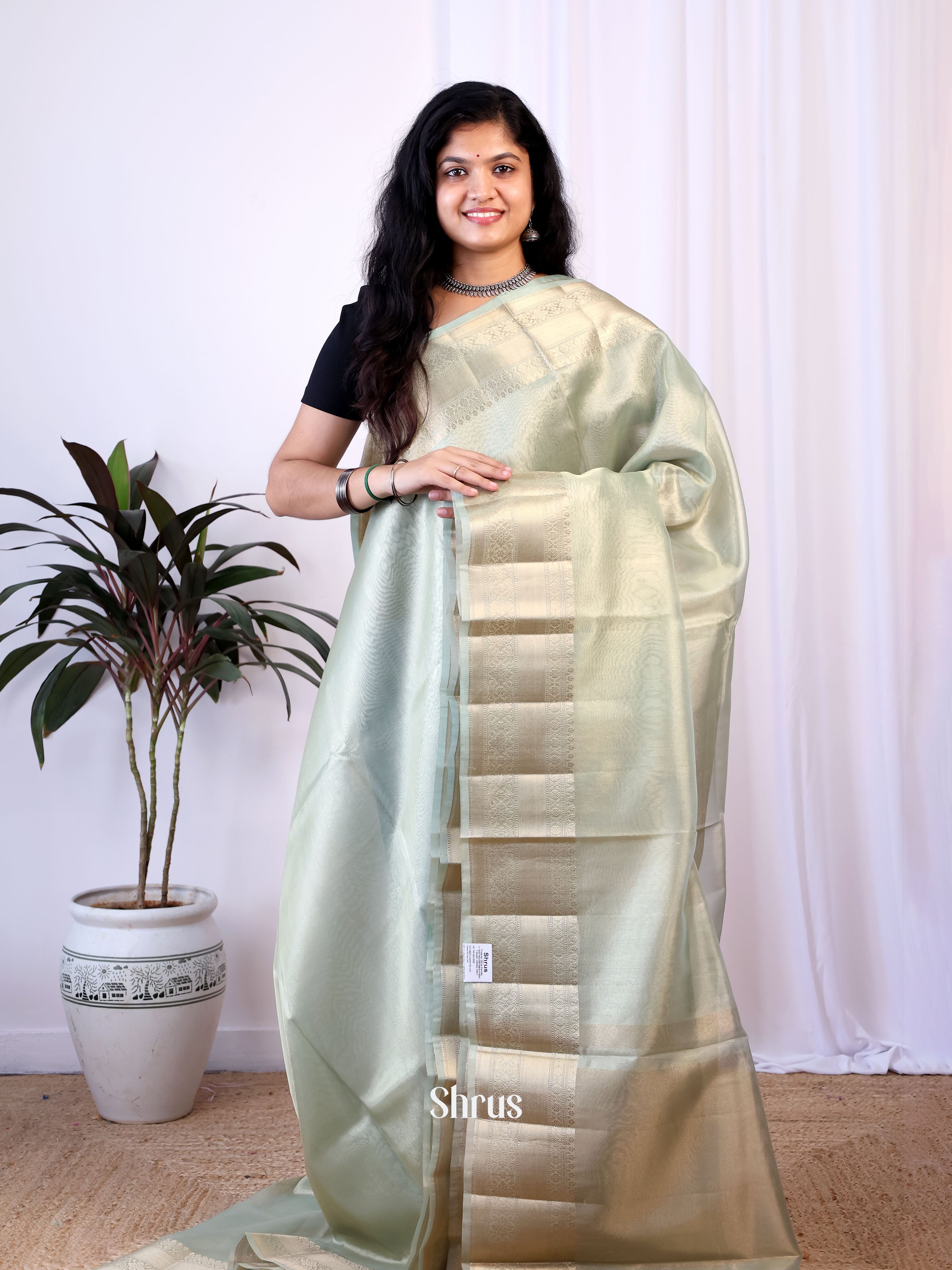 Grey Green - Semi Tissue Saree - Shop on Shrus.com