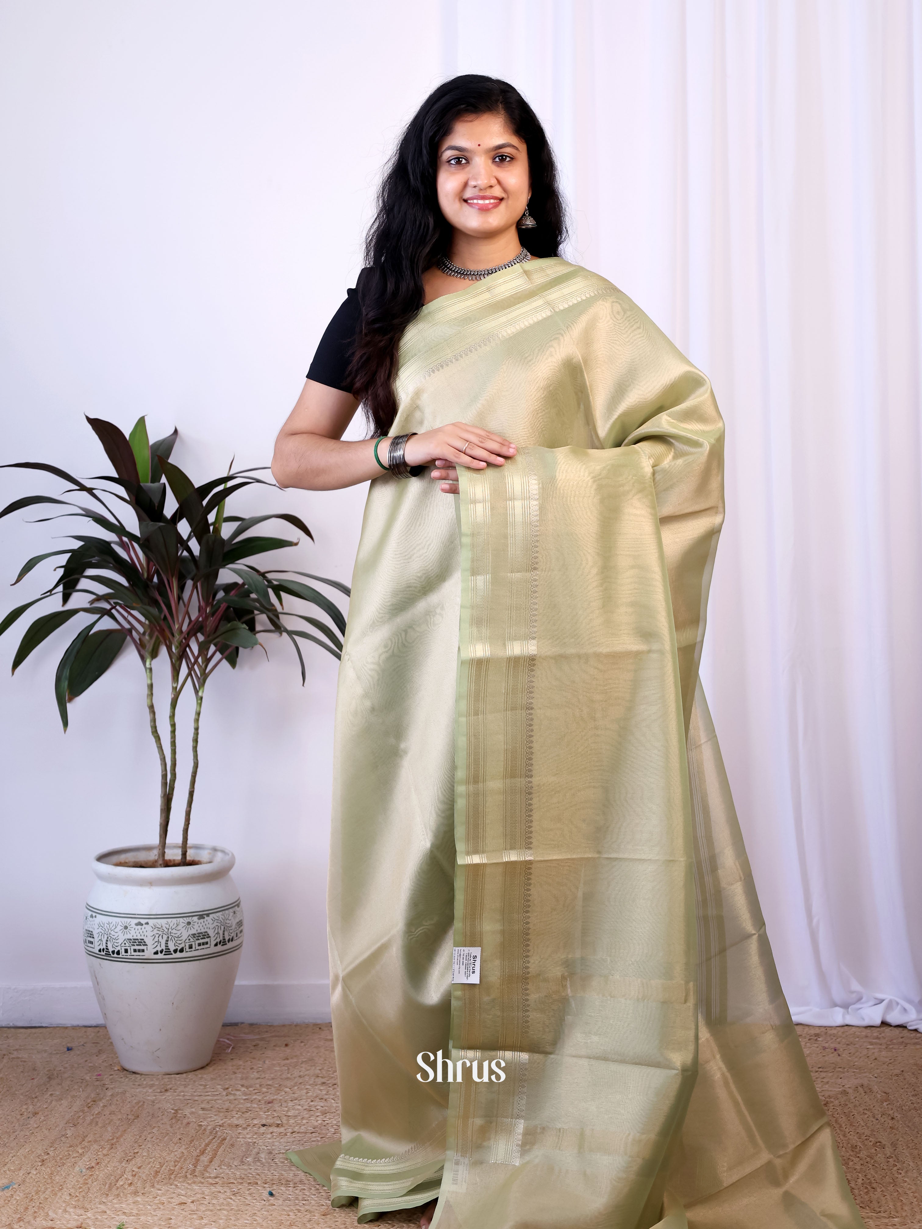 Pastel Green- Semi Tissue Saree - Shop on Shrus.com