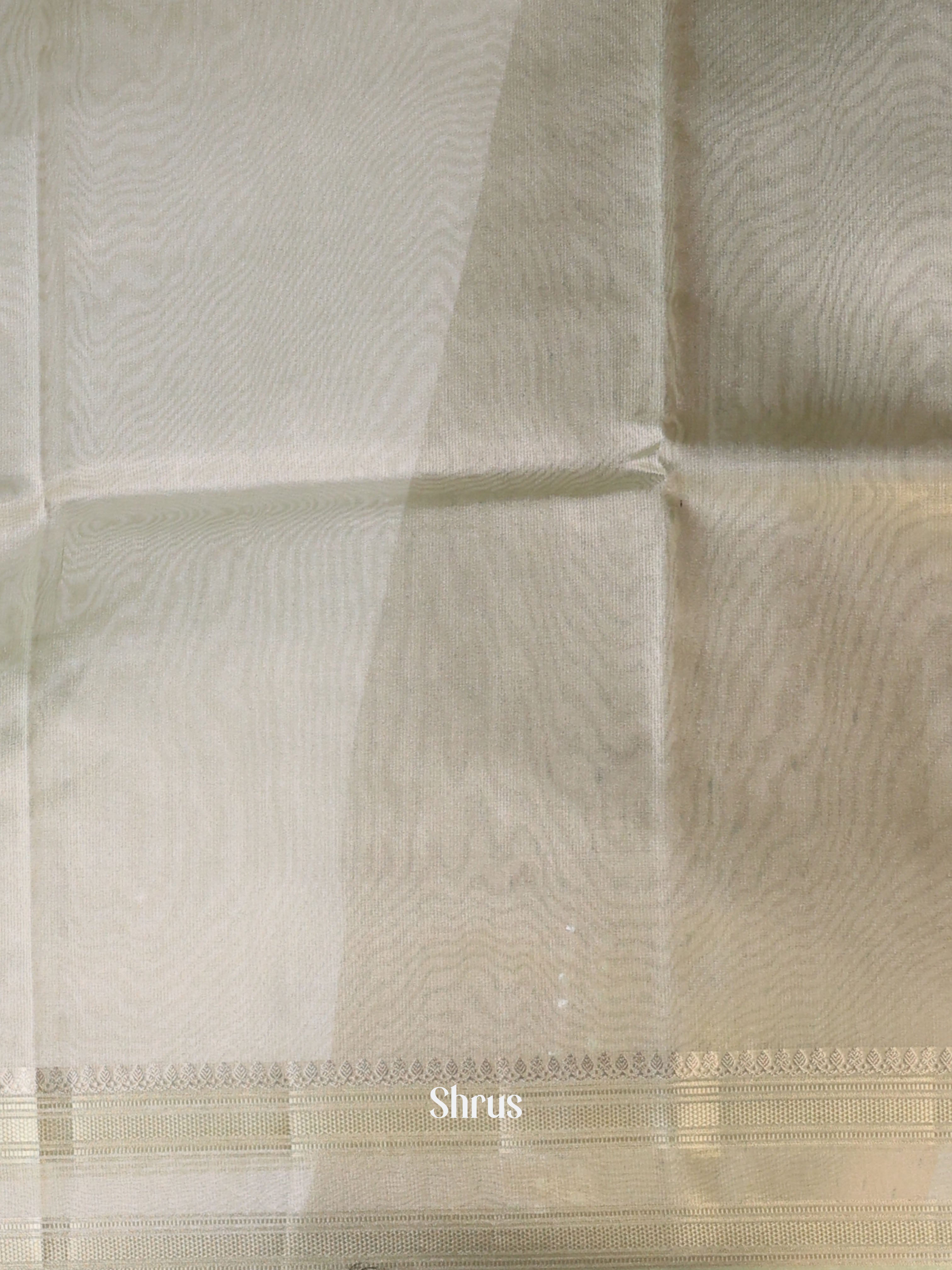 Pastel Green- Semi Tissue Saree - Shop on Shrus.com