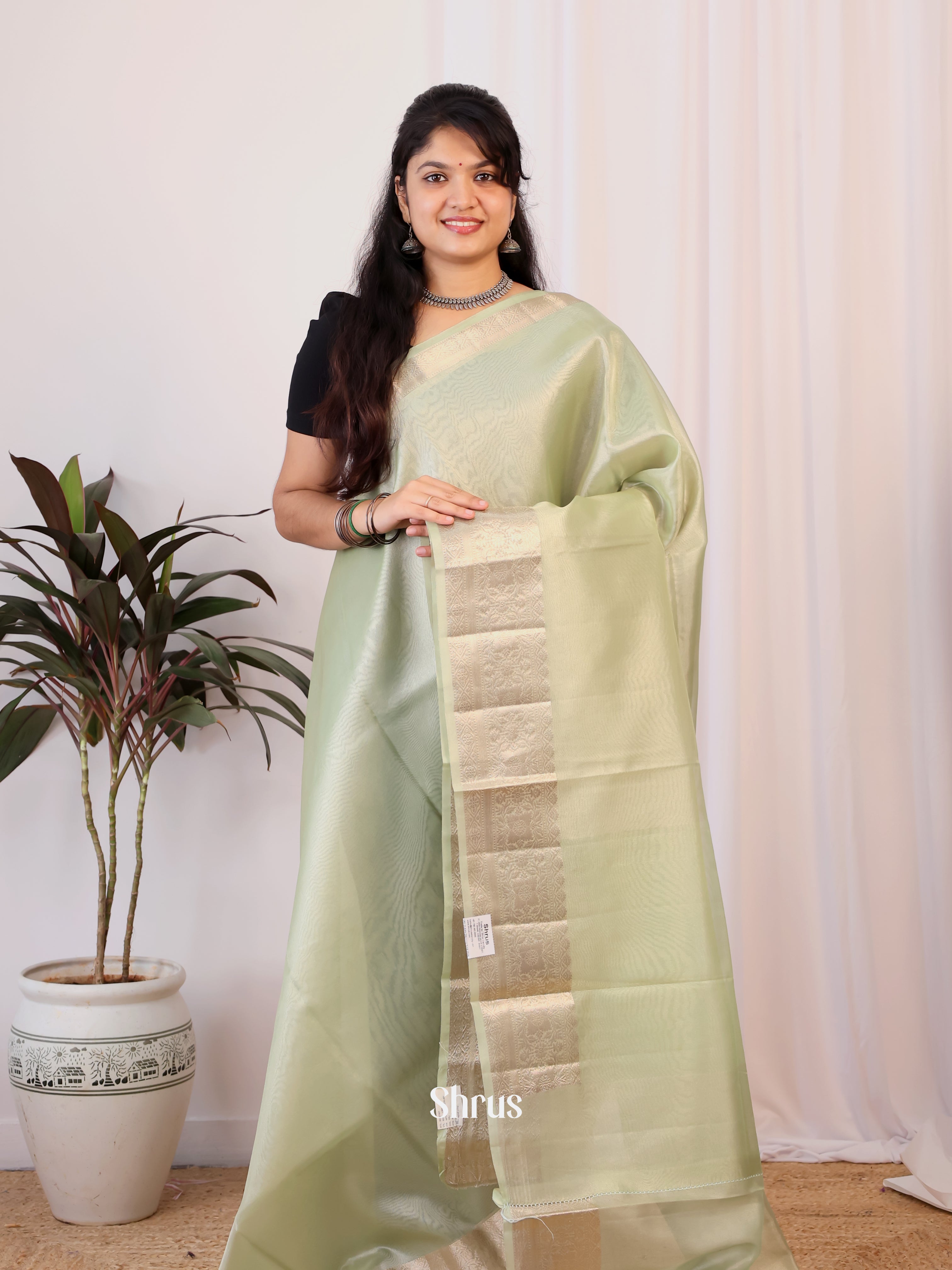 Lite Green - Semi Tissue Saree - Shop on Shrus.com