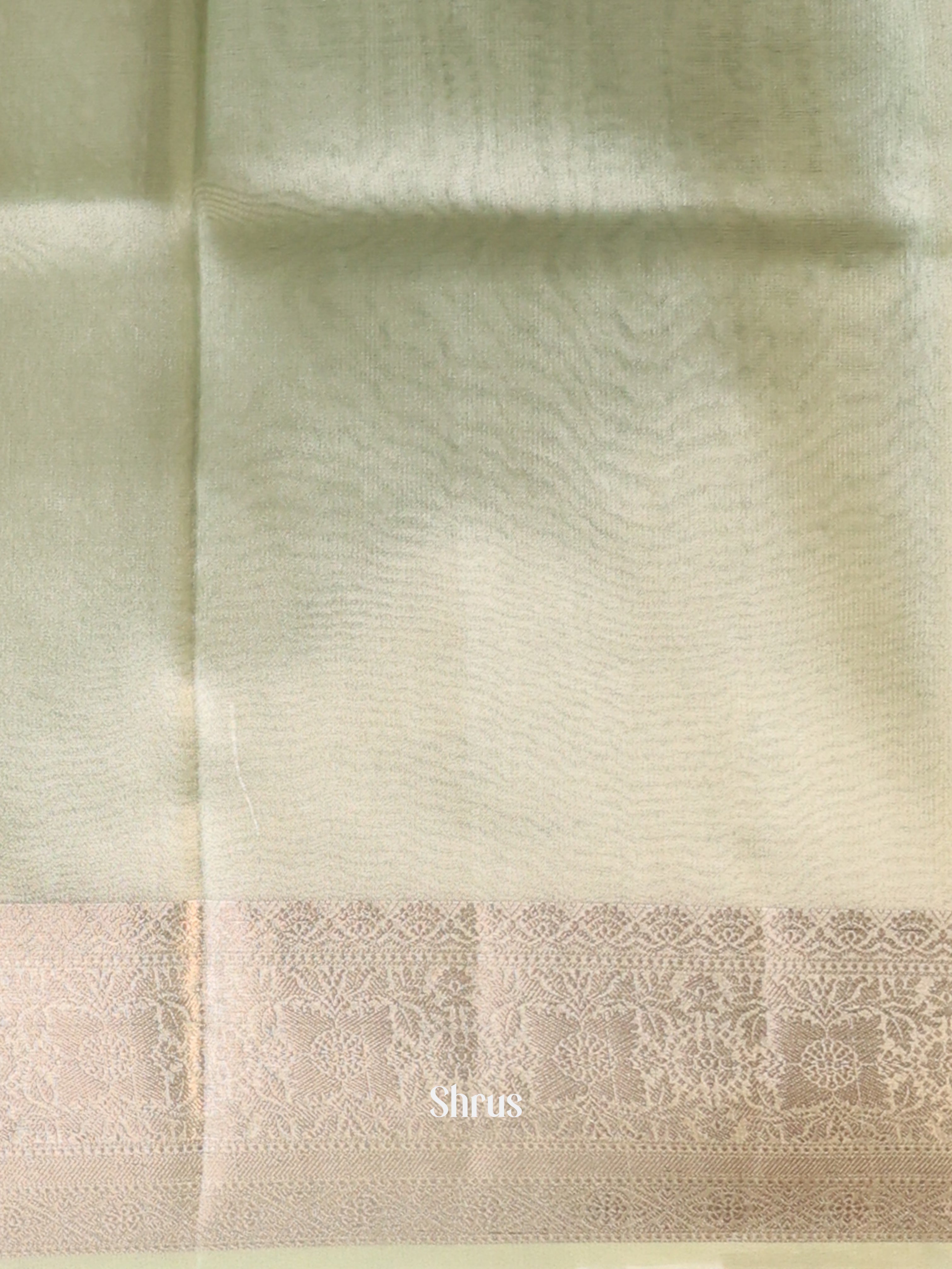 Lite Green - Semi Tissue Saree - Shop on Shrus.com