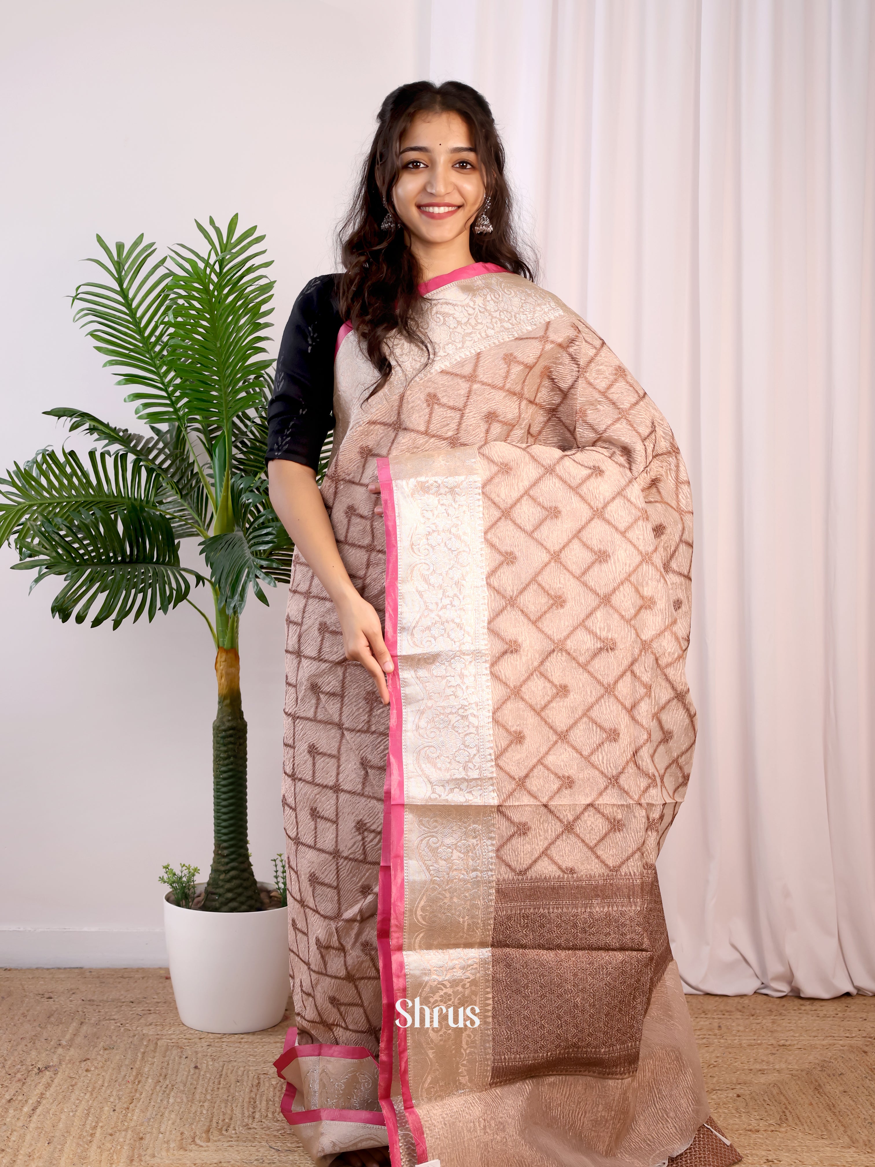 Brown - Bamboo silk Saree - Shop on Shrus.com