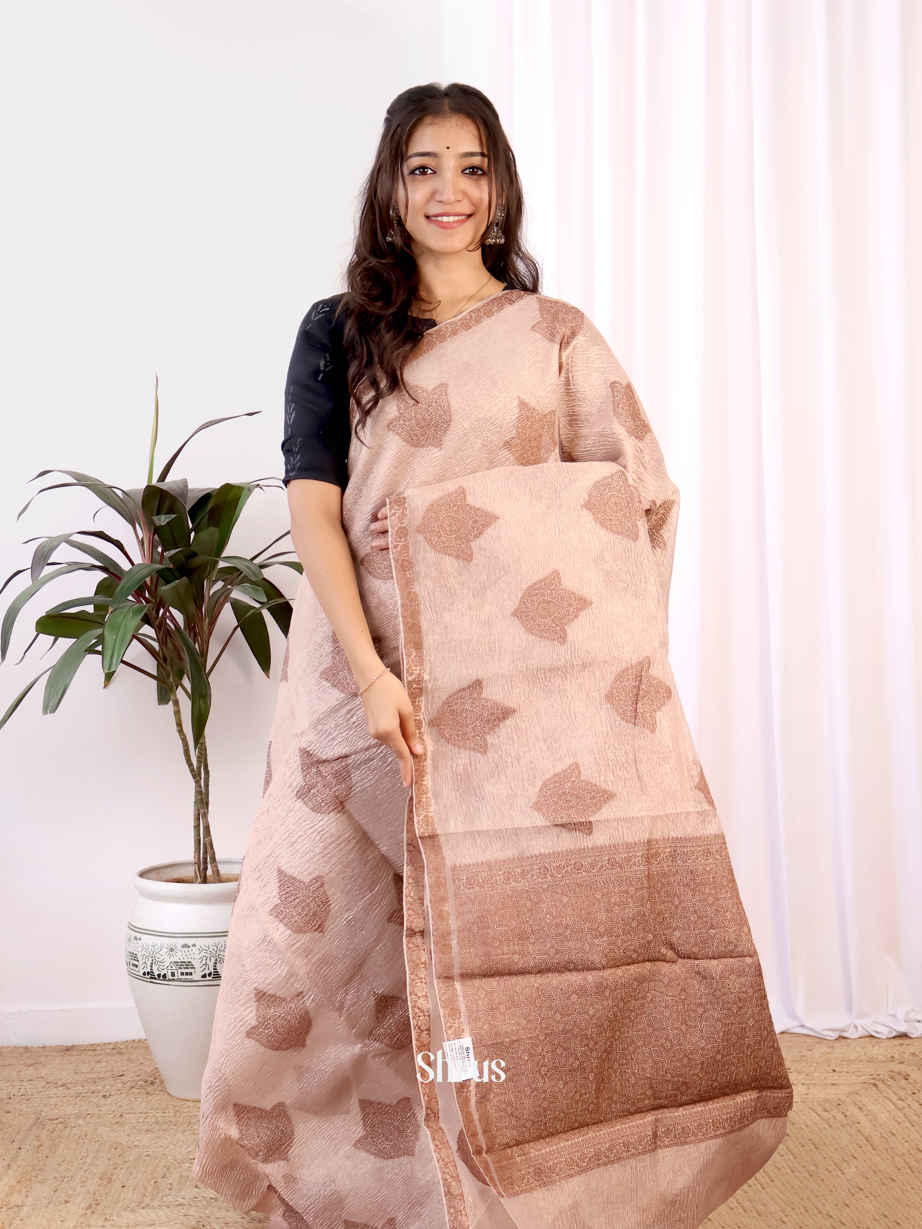 Light Brown - Bamboo silk Saree - Shop on Shrus.com