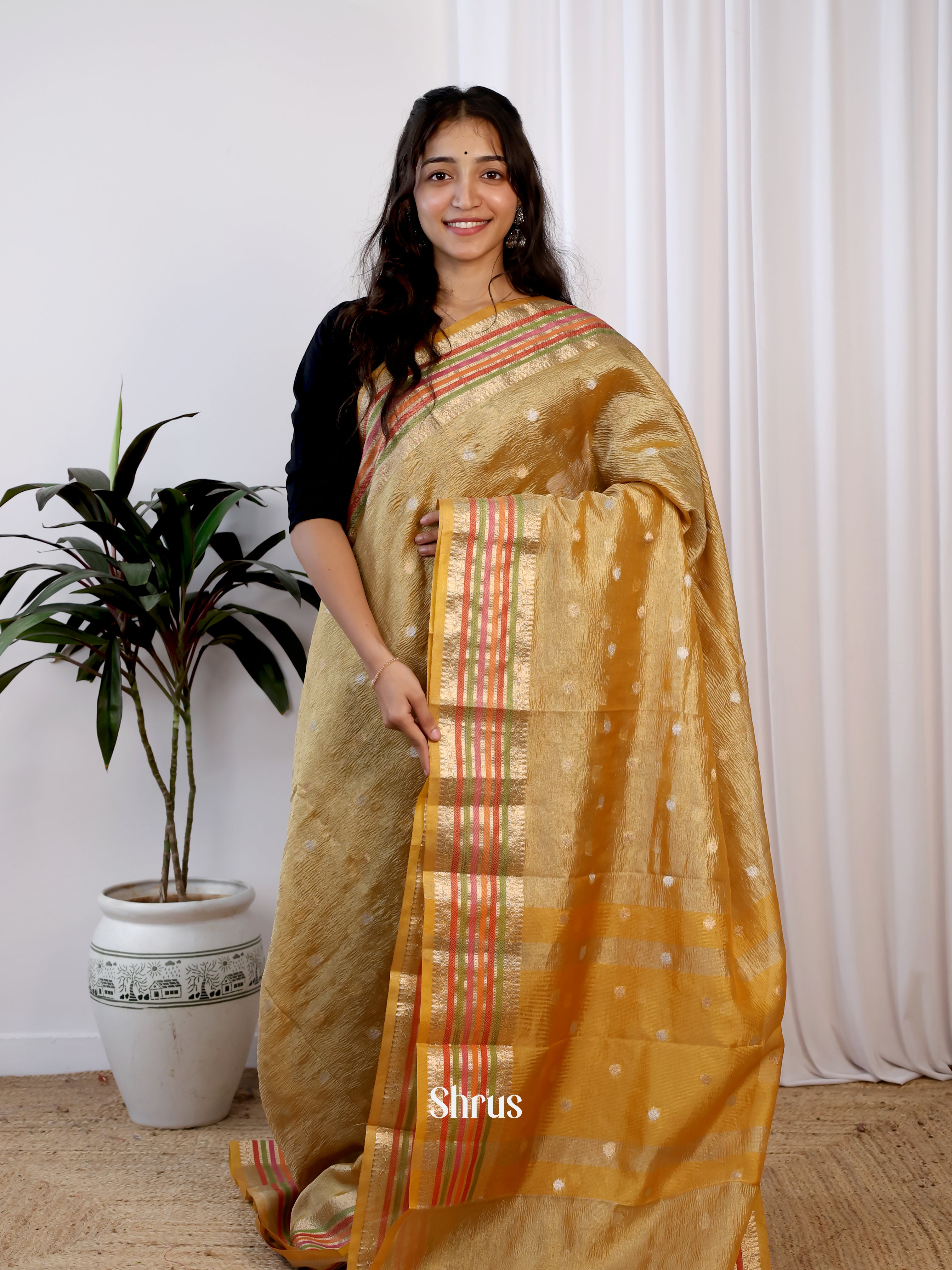Golden Brown - Bamboo silk Saree - Shop on Shrus.com