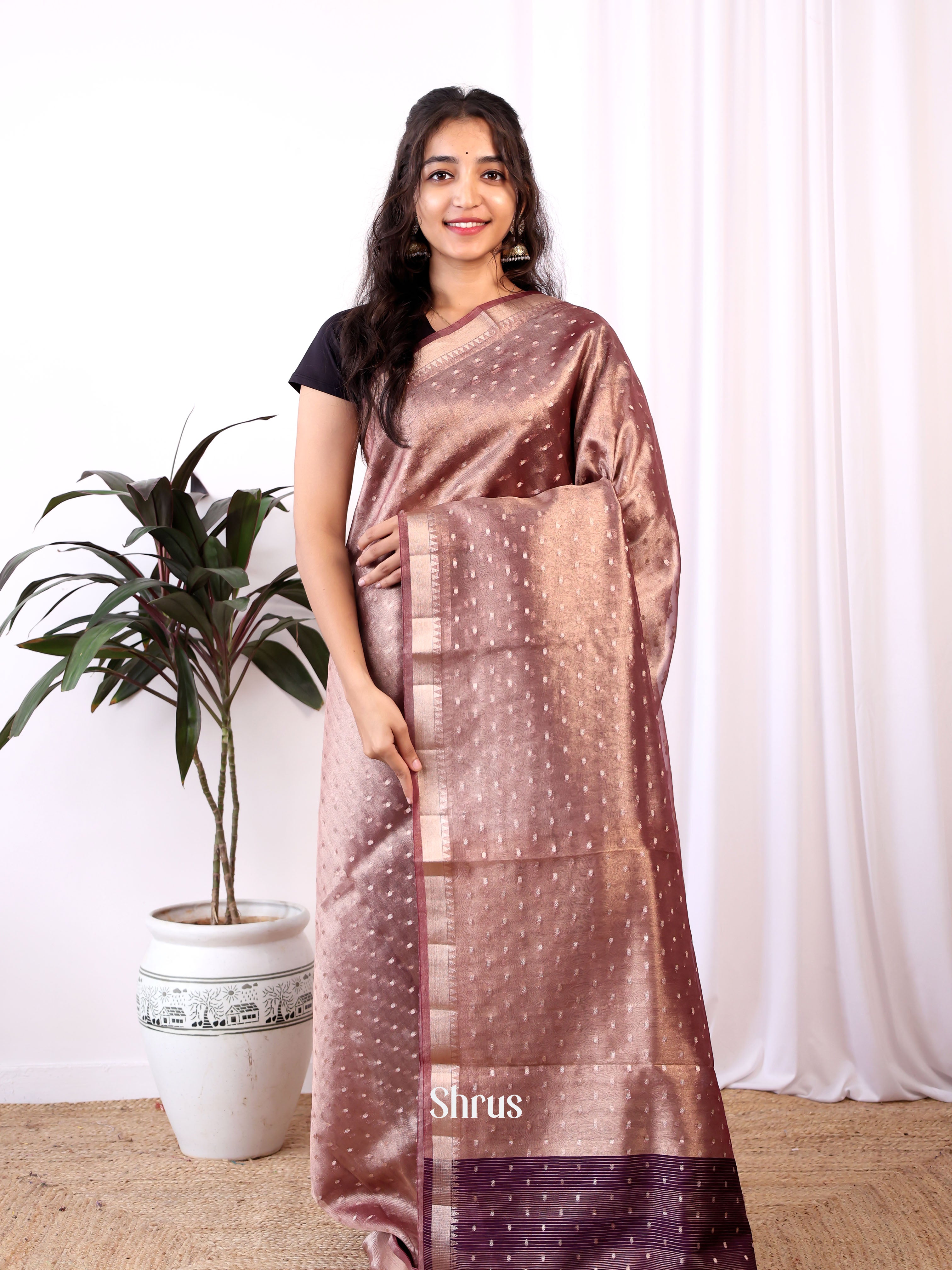 Brown - Semi Organza Saree - Shop on Shrus.com