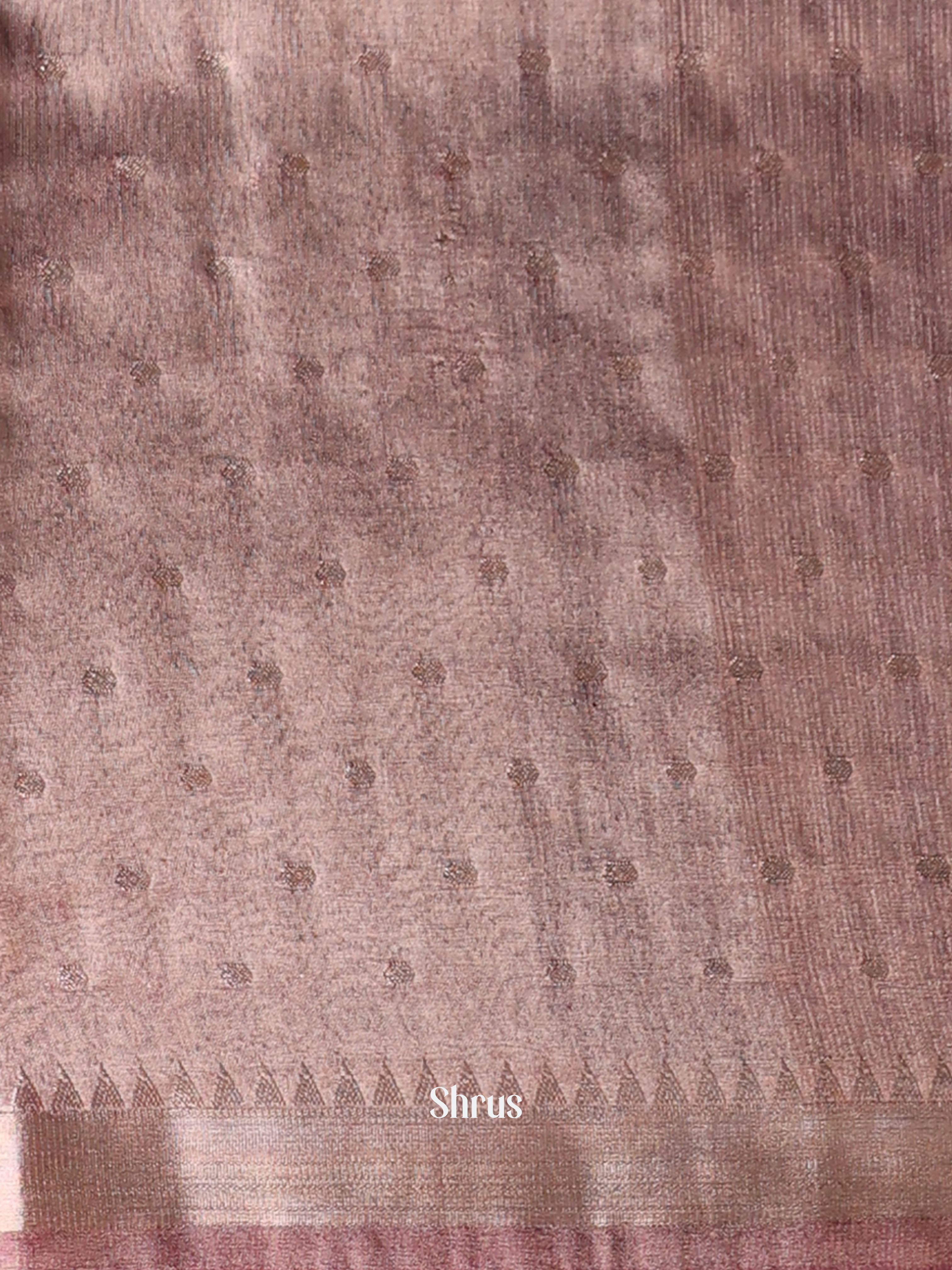 Brown - Semi Organza Saree - Shop on Shrus.com