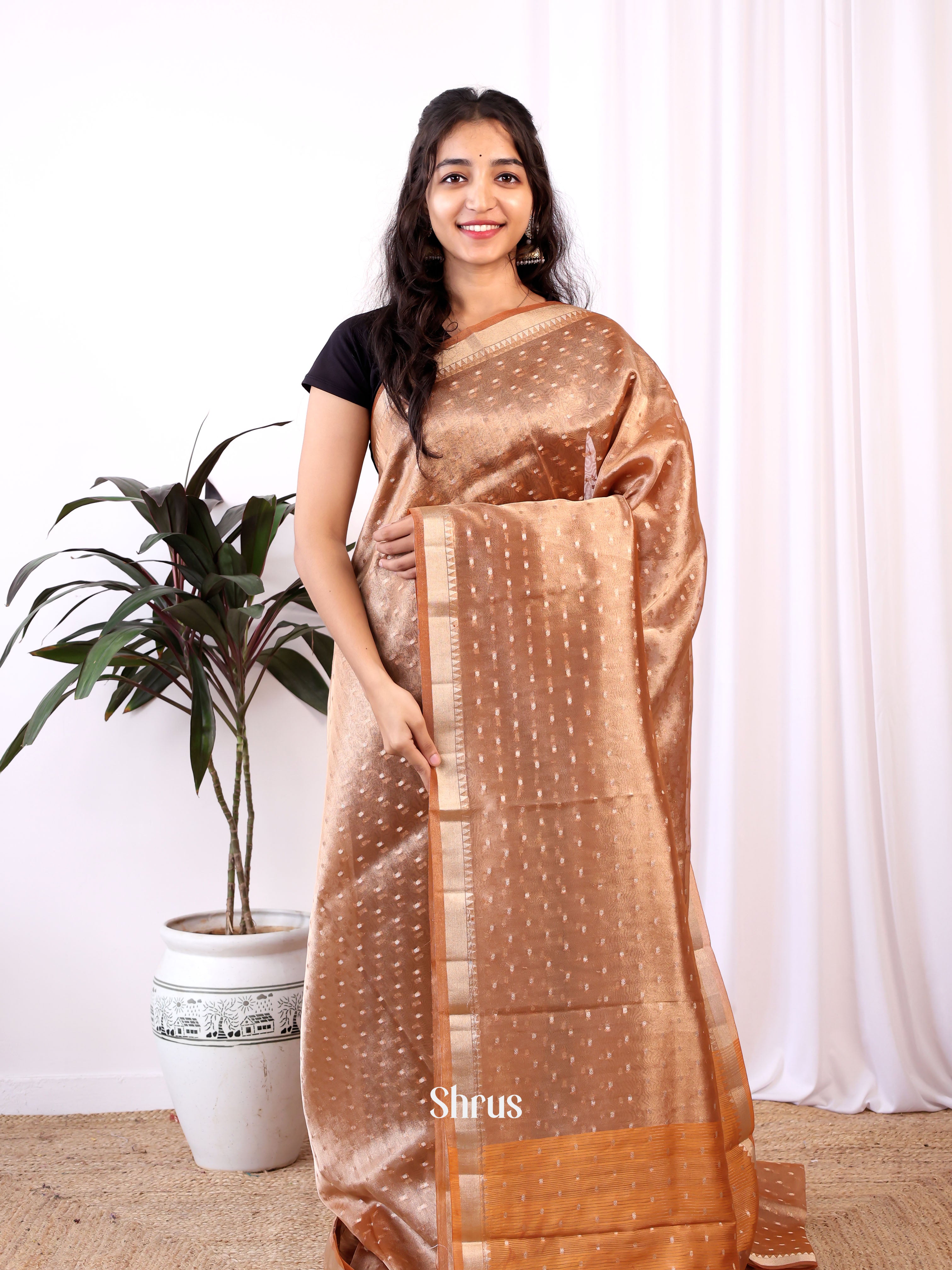 CIS24244 - Semi Organza Saree - Shop on Shrus.com