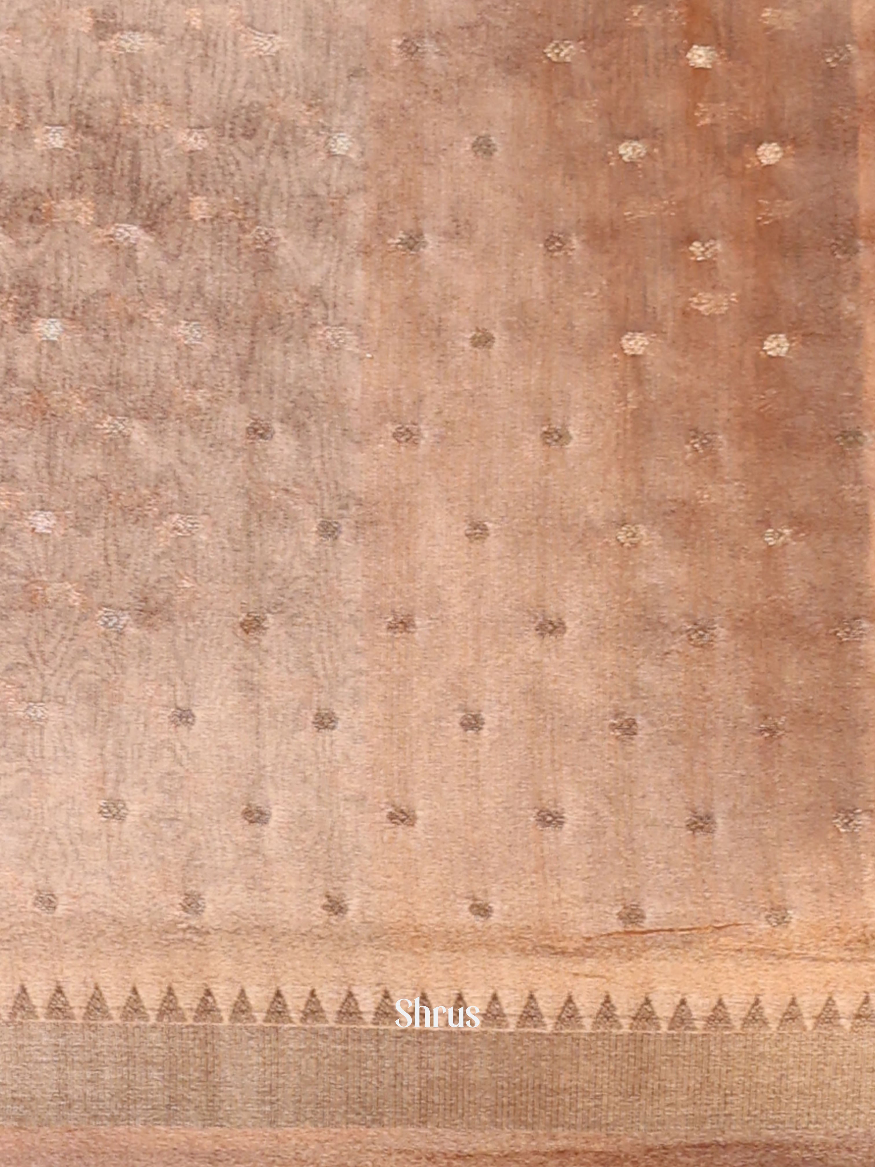 CIS24244 - Semi Organza Saree - Shop on Shrus.com