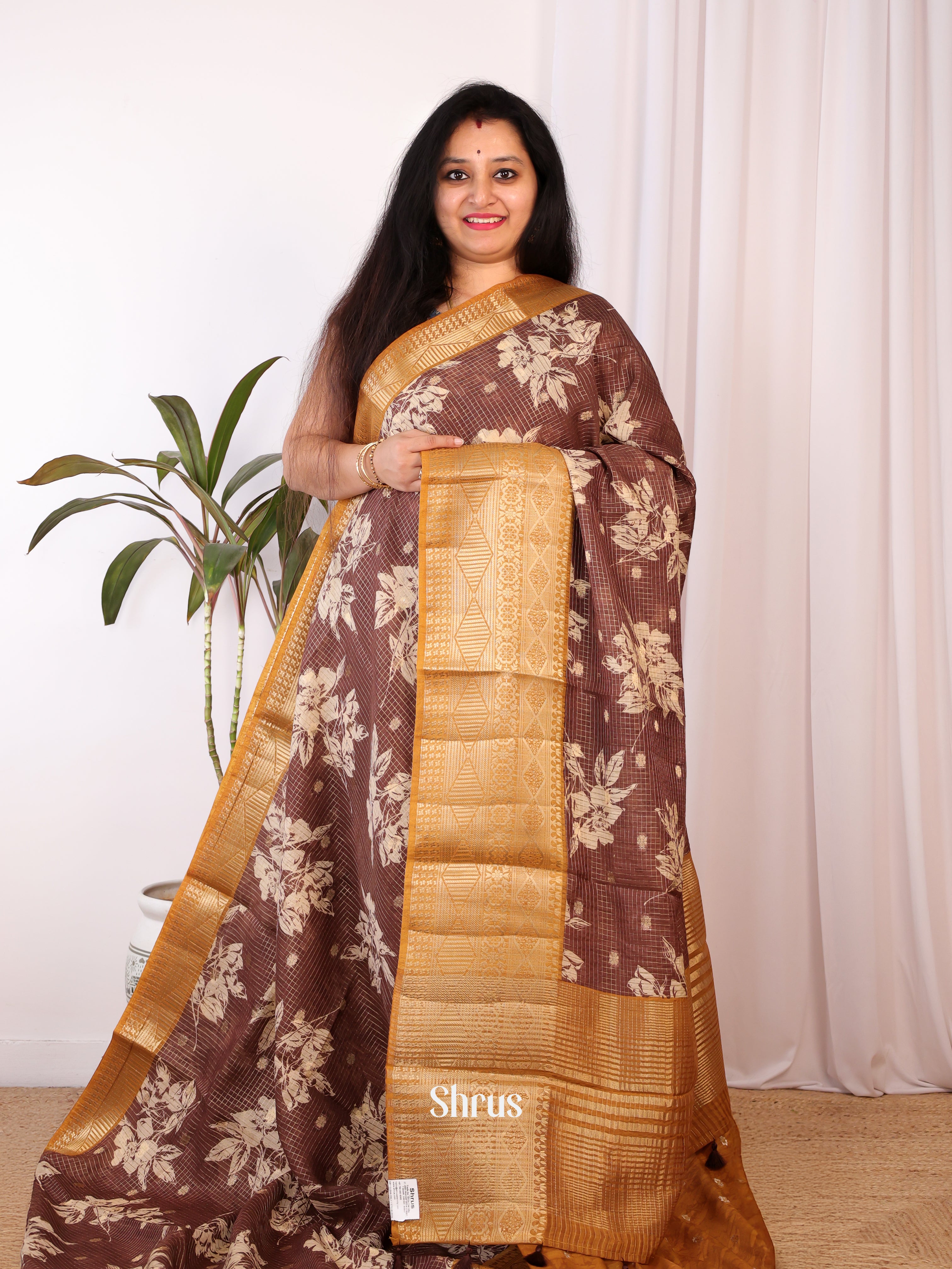 Brown & Mustard - Semi Chanderi Saree - Shop on Shrus.com