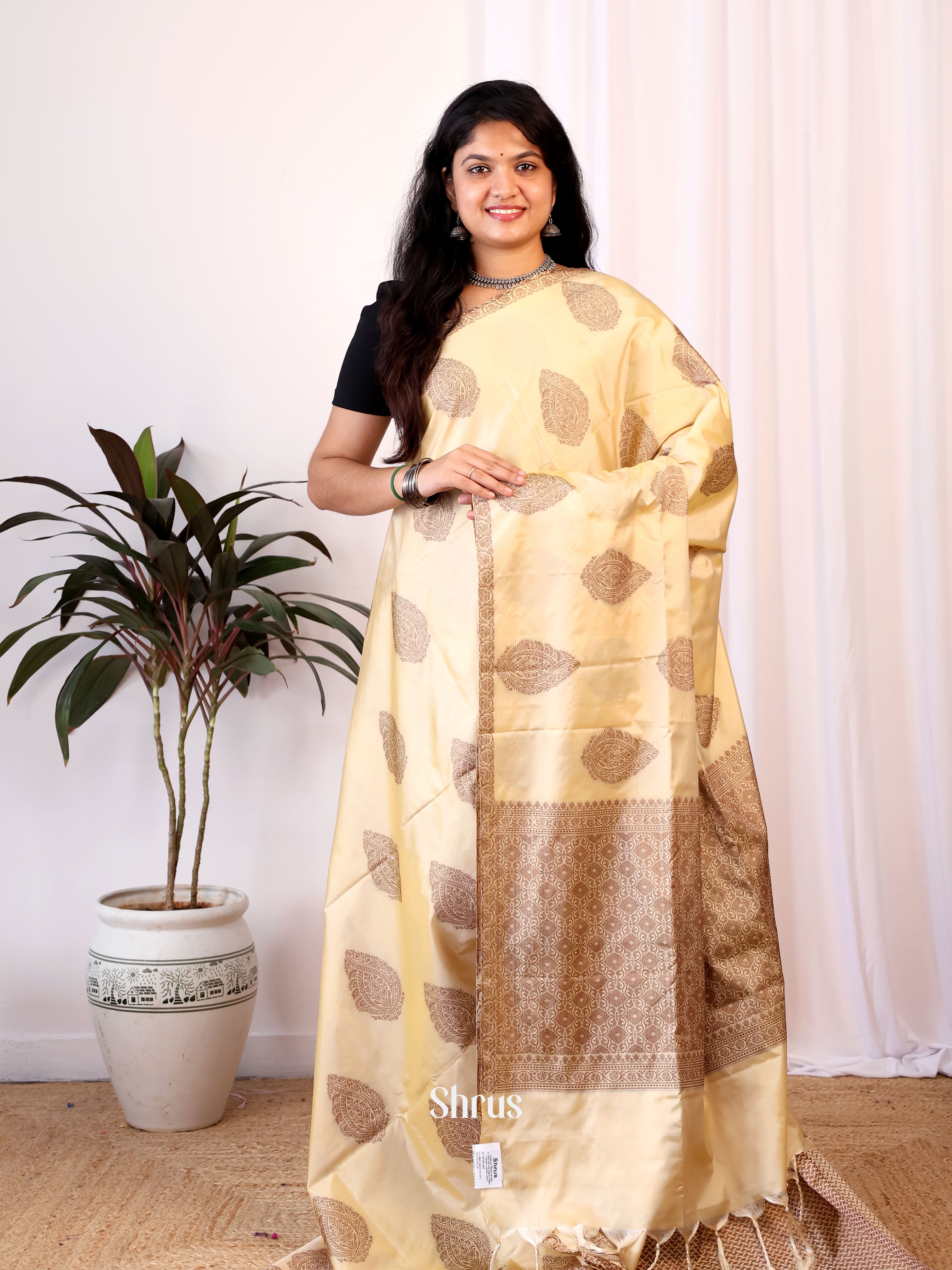 CIS24266 - Semi Softsilk Saree - Shop on Shrus.com