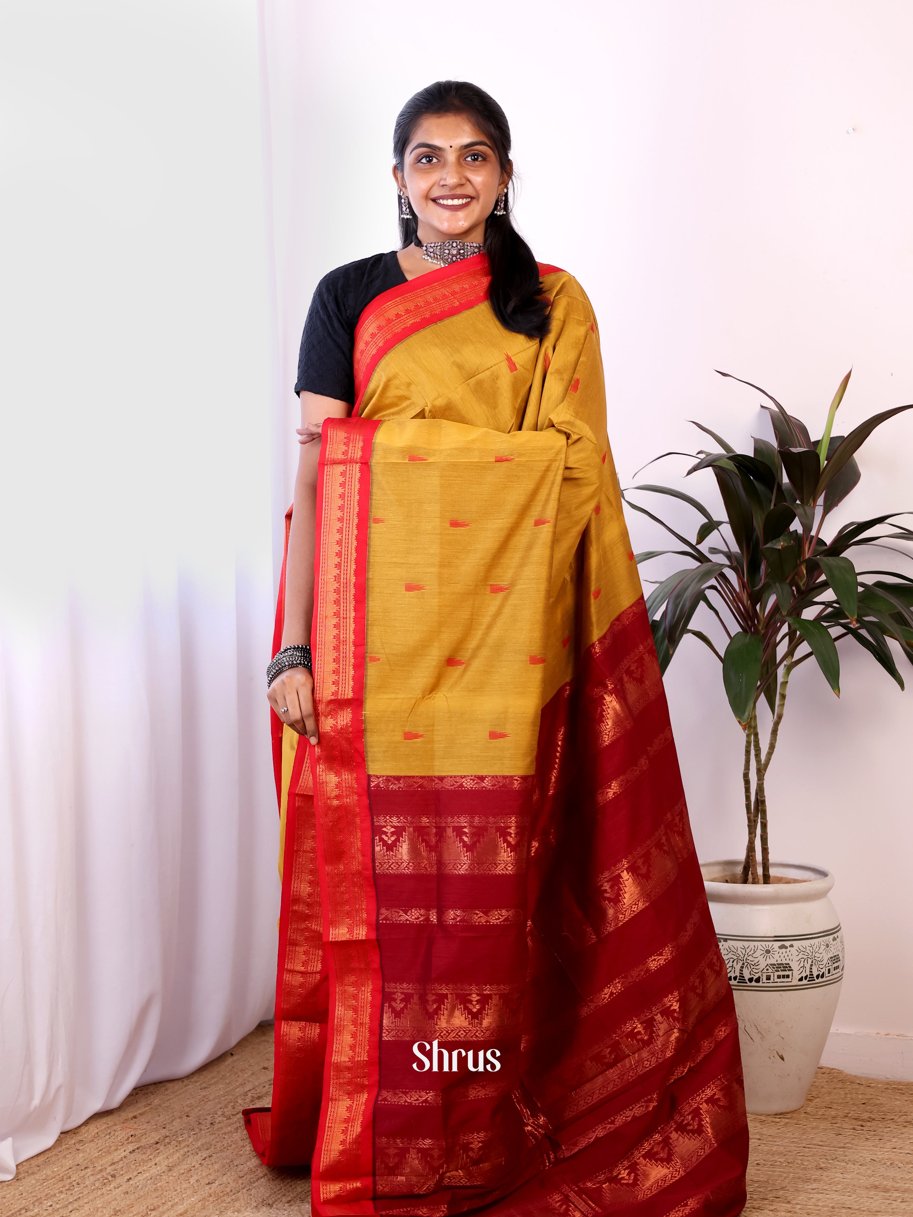 Mustard & Maroon - Kalyani Cotton Saree - Shop on Shrus.com