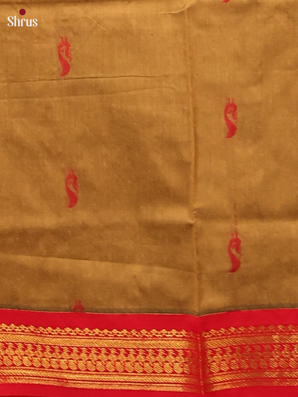 Beige & Red- Kalyani Cotton unstitched Top & Dupatta - CIS25225 - Shop on Shrus.com
