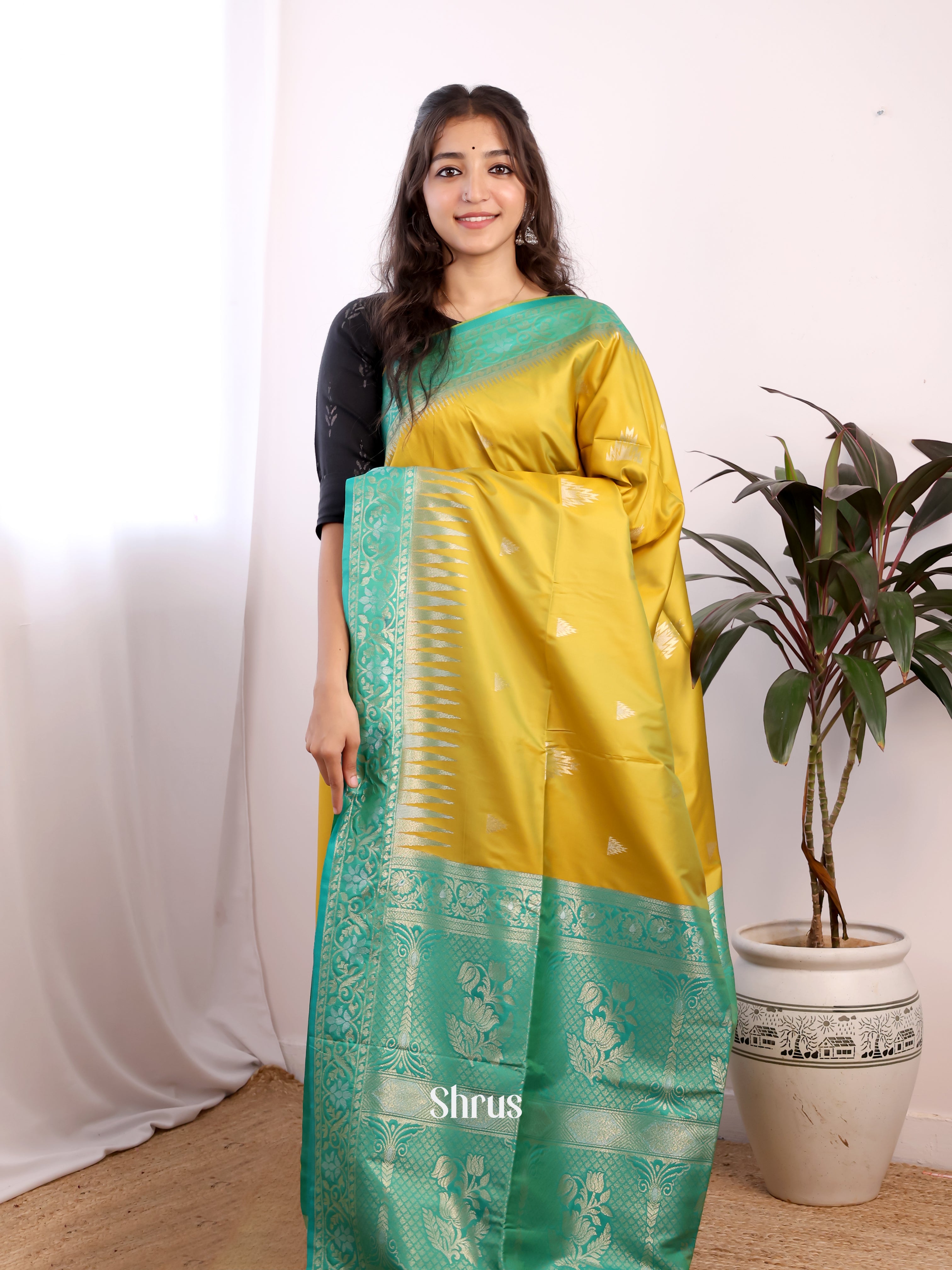 Mustard & Green - Semi Softsilk Saree - Shop on Shrus.com