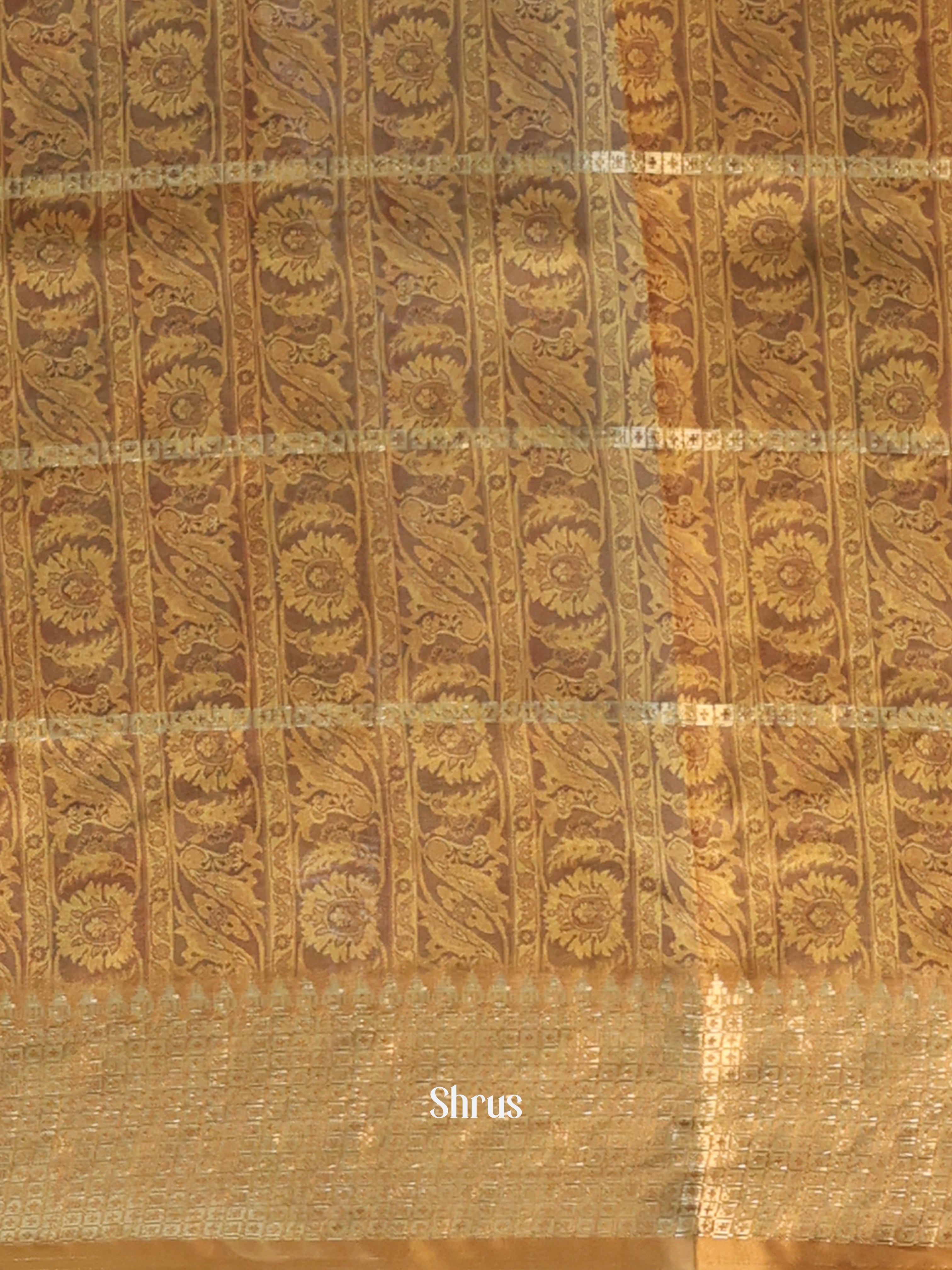 Beige- Semi Dola silk Saree - Shop on Shrus.com