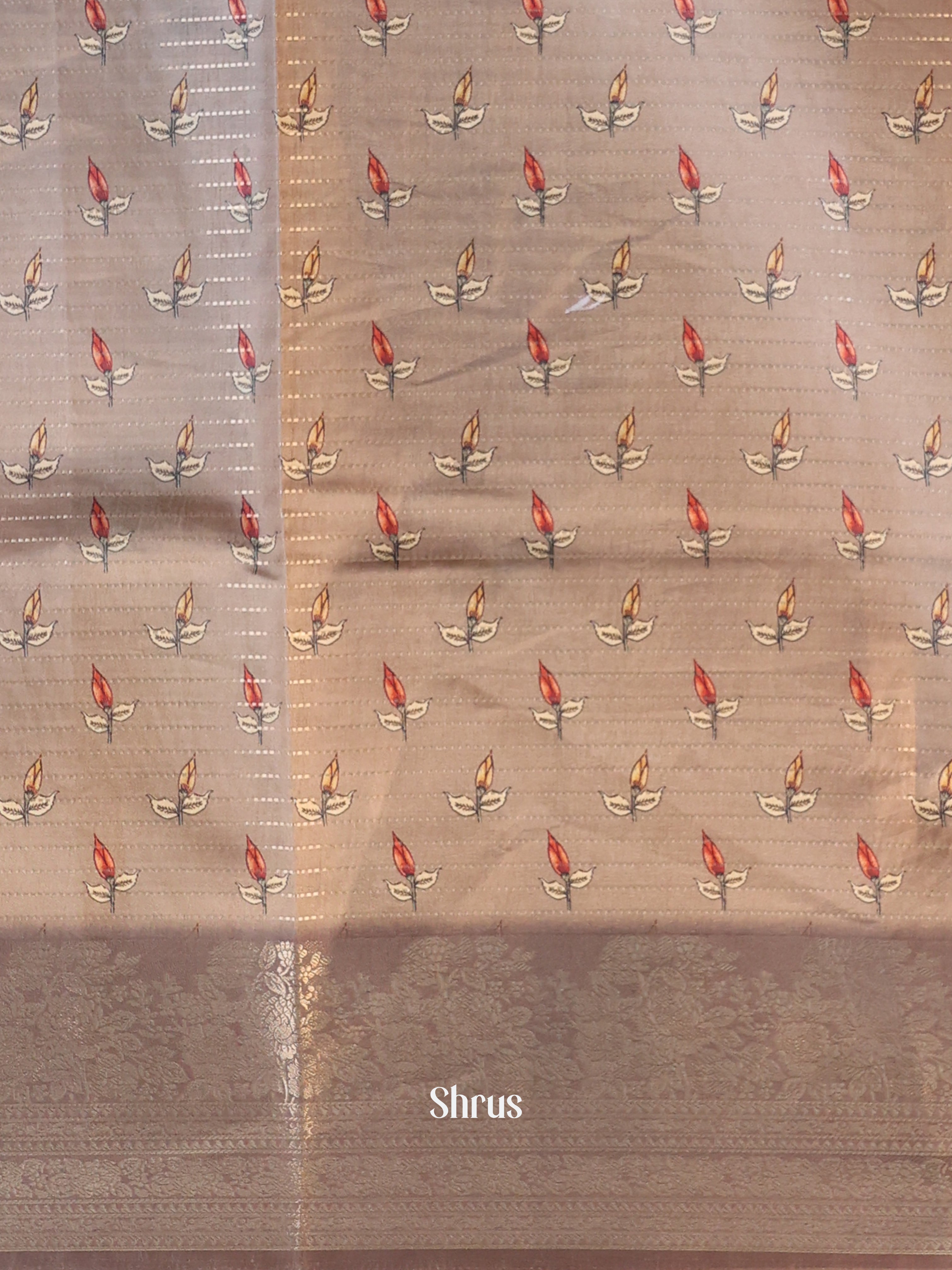 Grey - Semi Dola silk Saree - Shop on Shrus.com