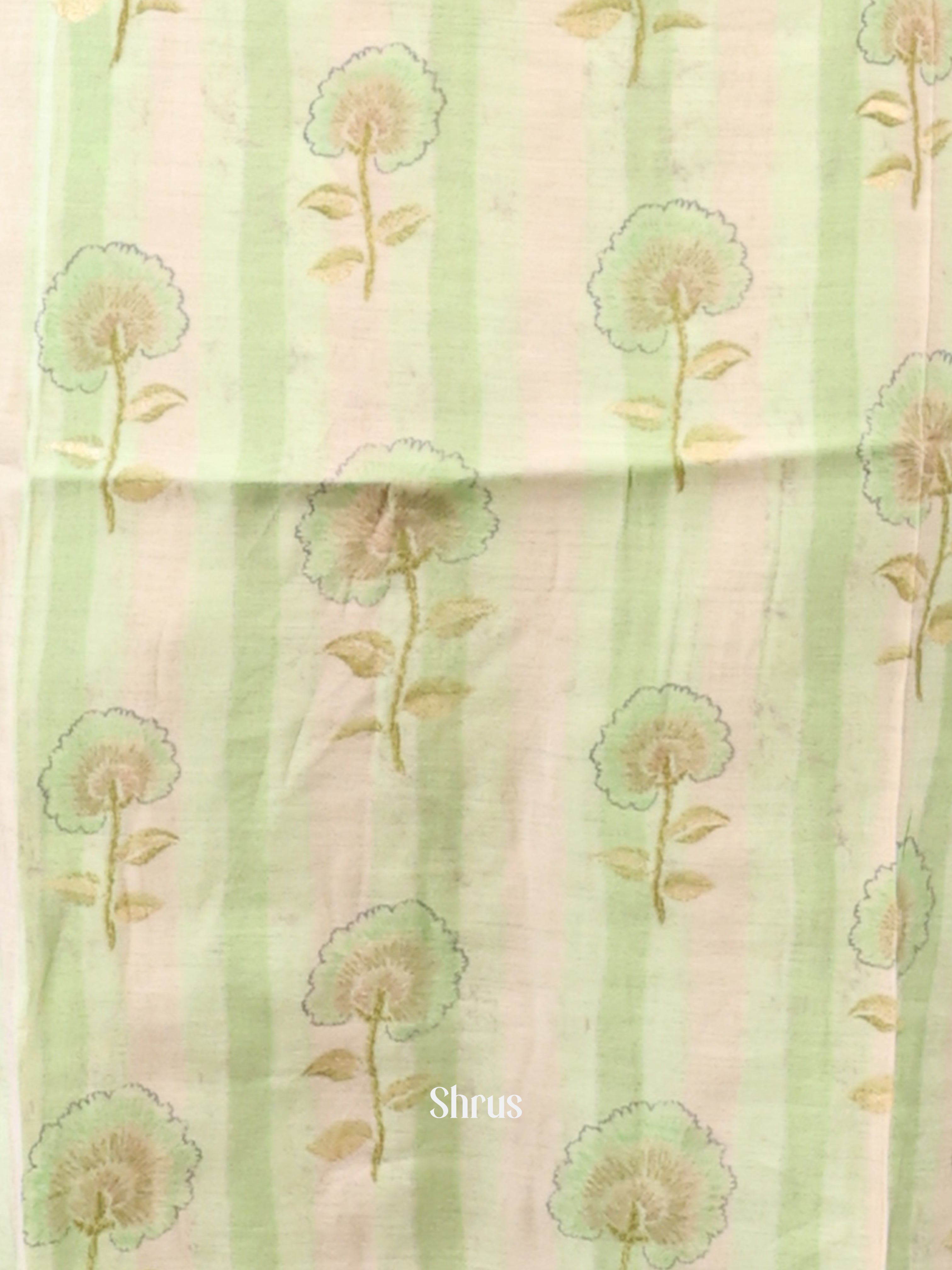 Cream & Green - Readymade Suits - Shop on Shrus.com