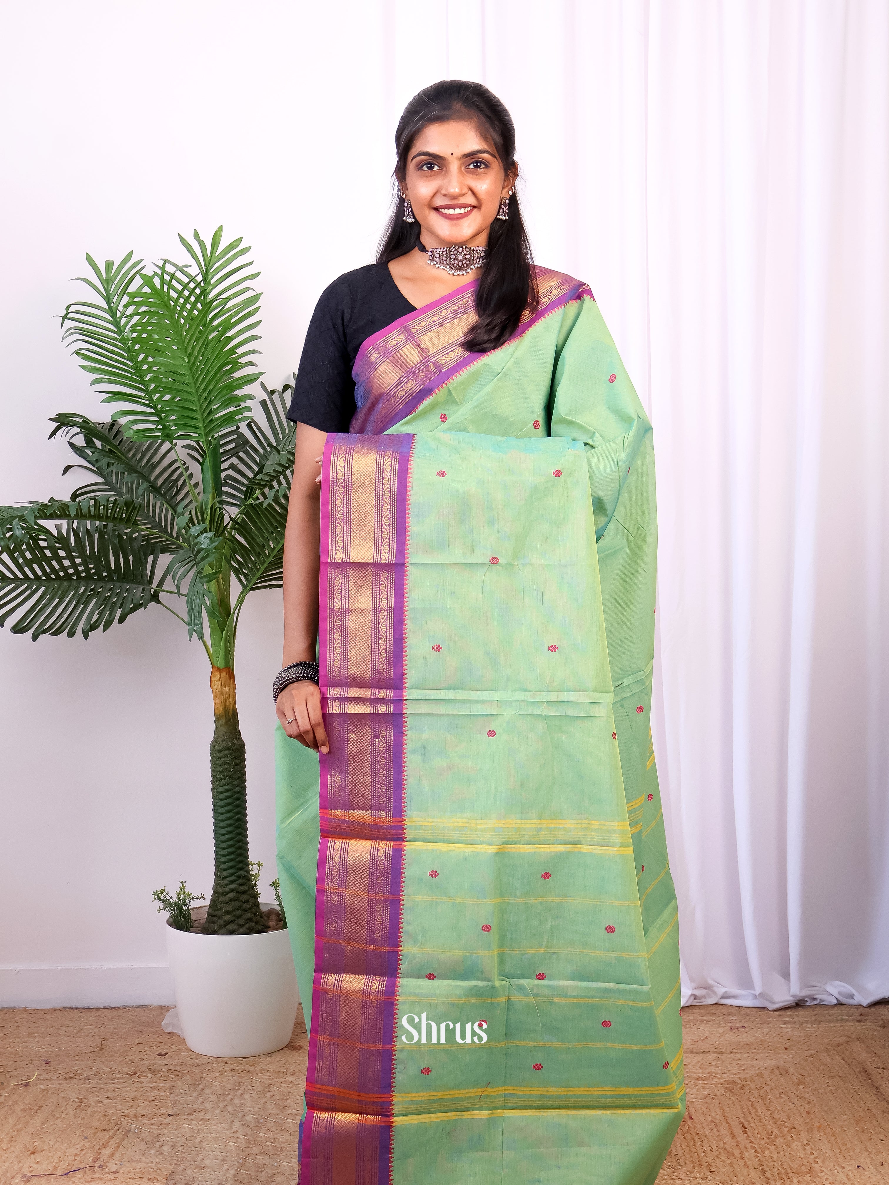 Green & Purple - Chettinad Cotton Saree - Shop on Shrus.com