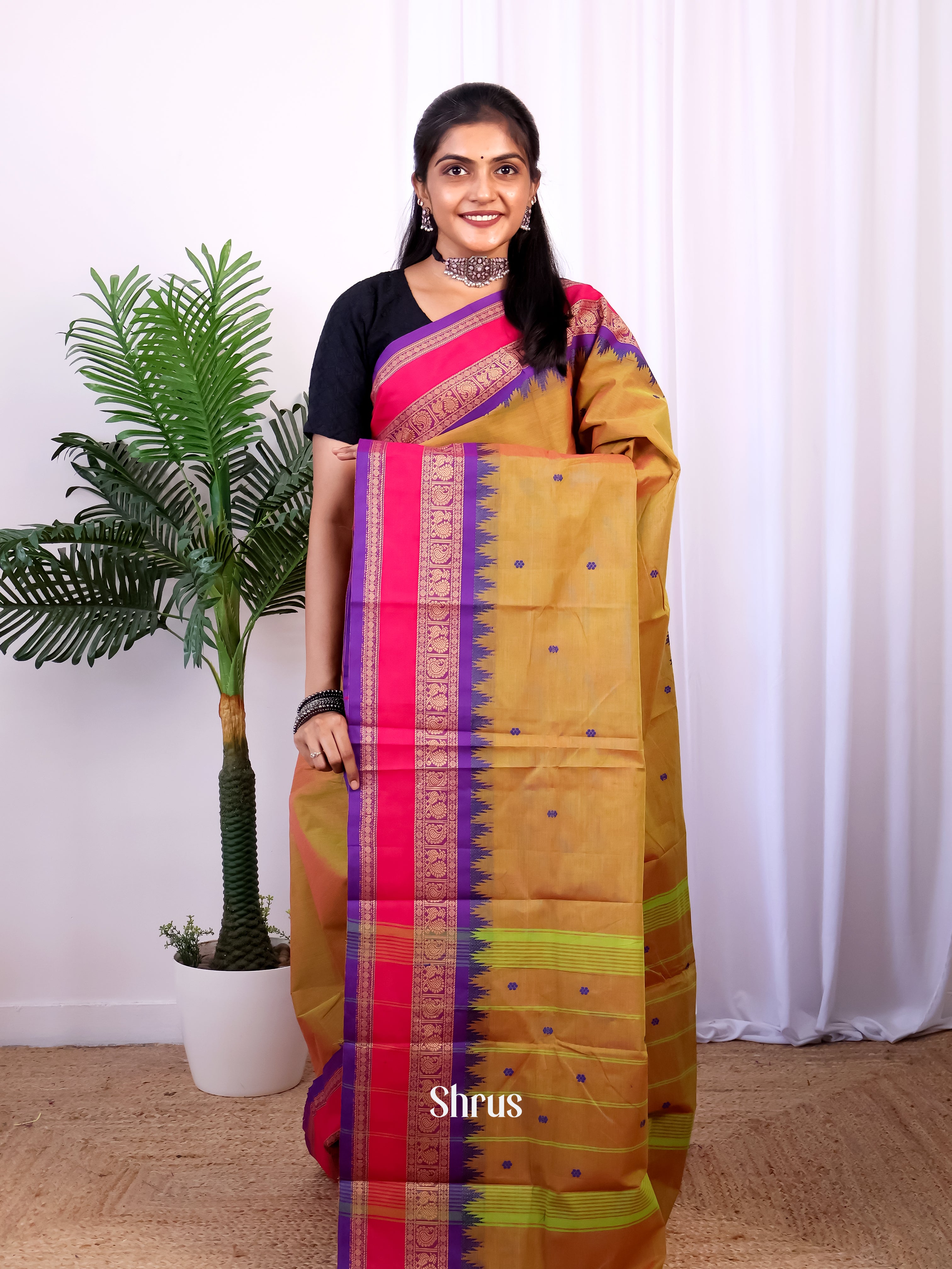 Brown & Purple - Chettinad Cotton Saree - Shop on Shrus.com