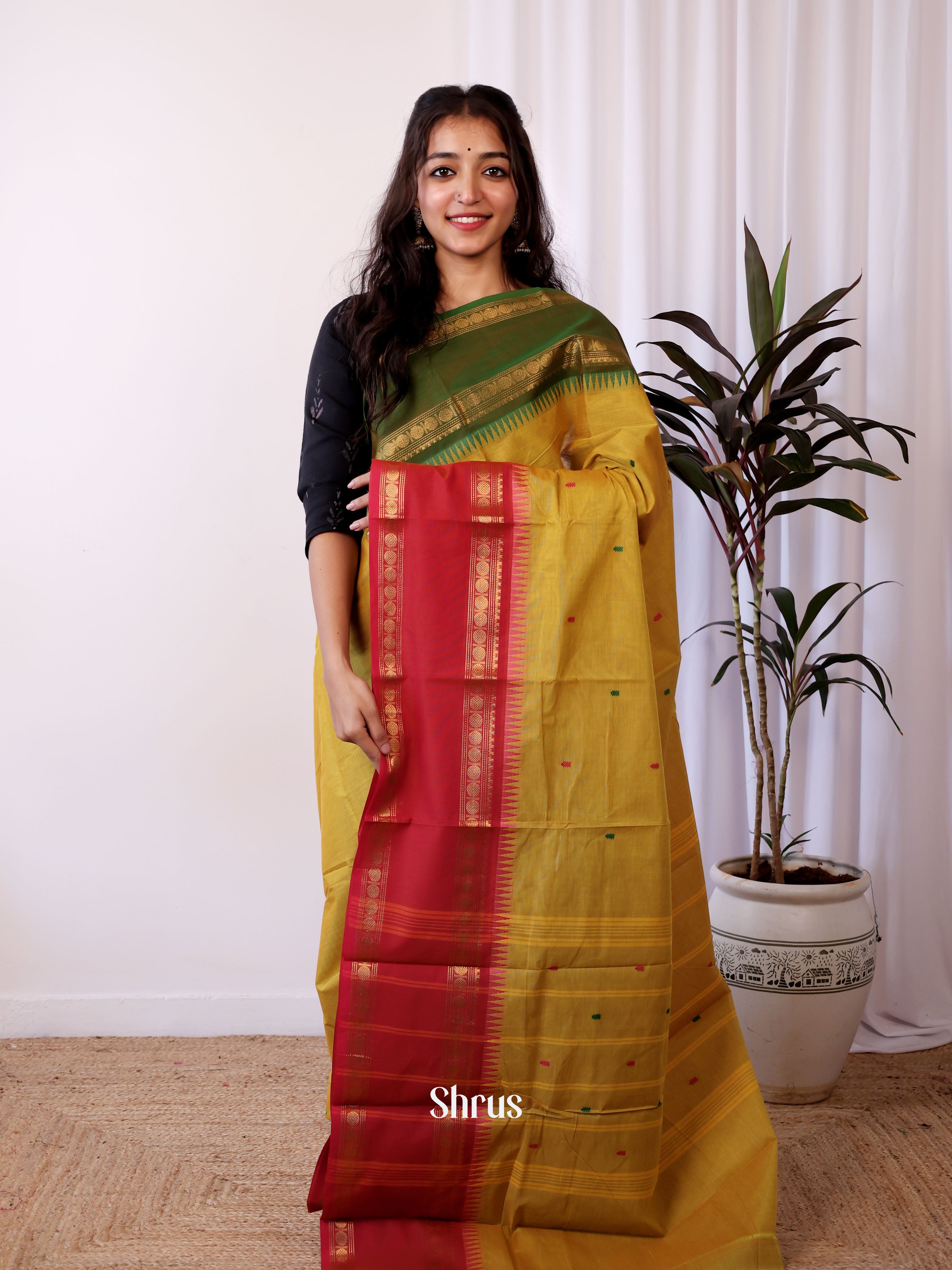 Mustardy Green & Red - Chettinad Cotton Saree - Shop on Shrus.com
