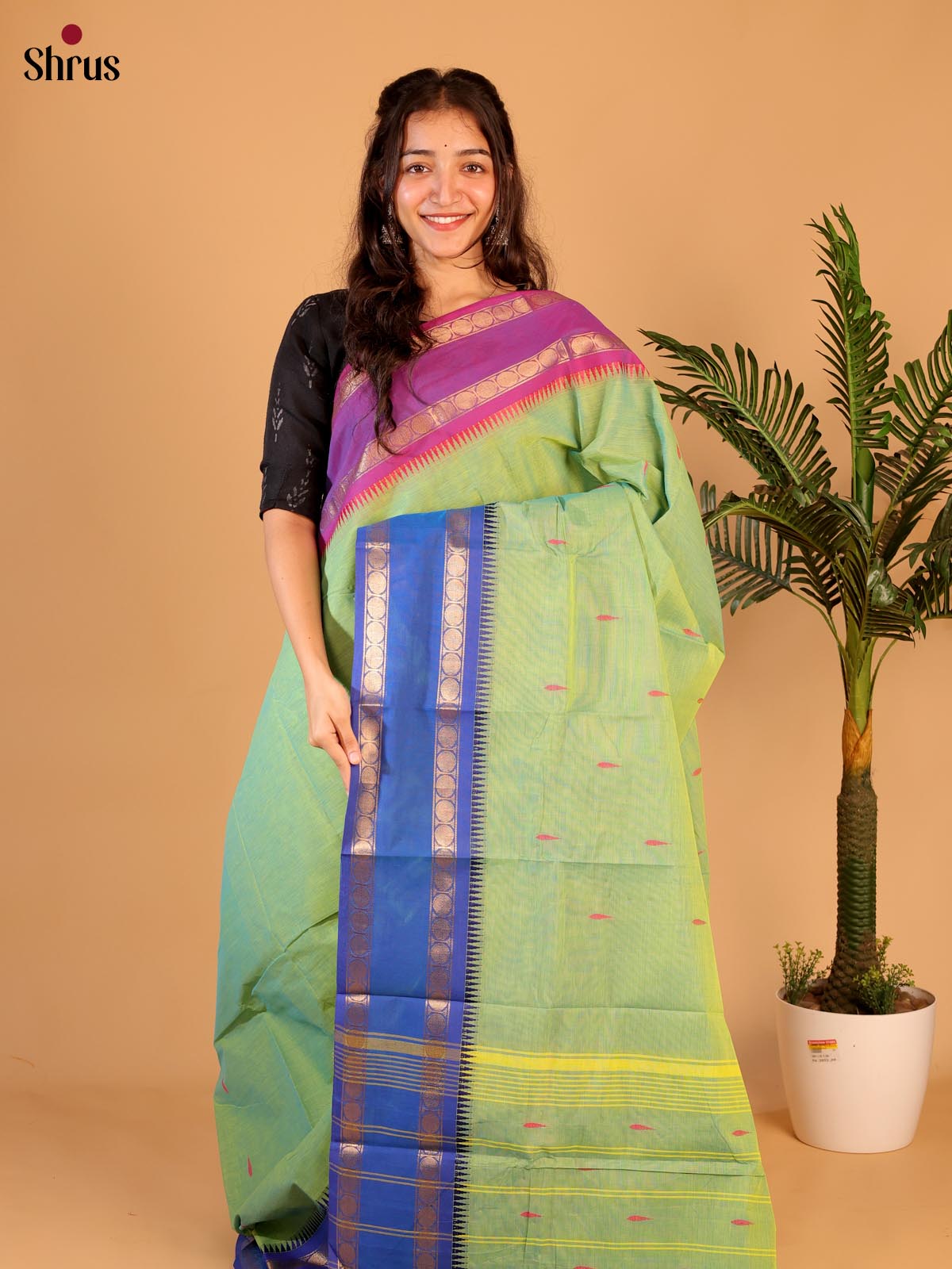 Green & Blue - Chettinad Cotton Saree - Shop on Shrus.com