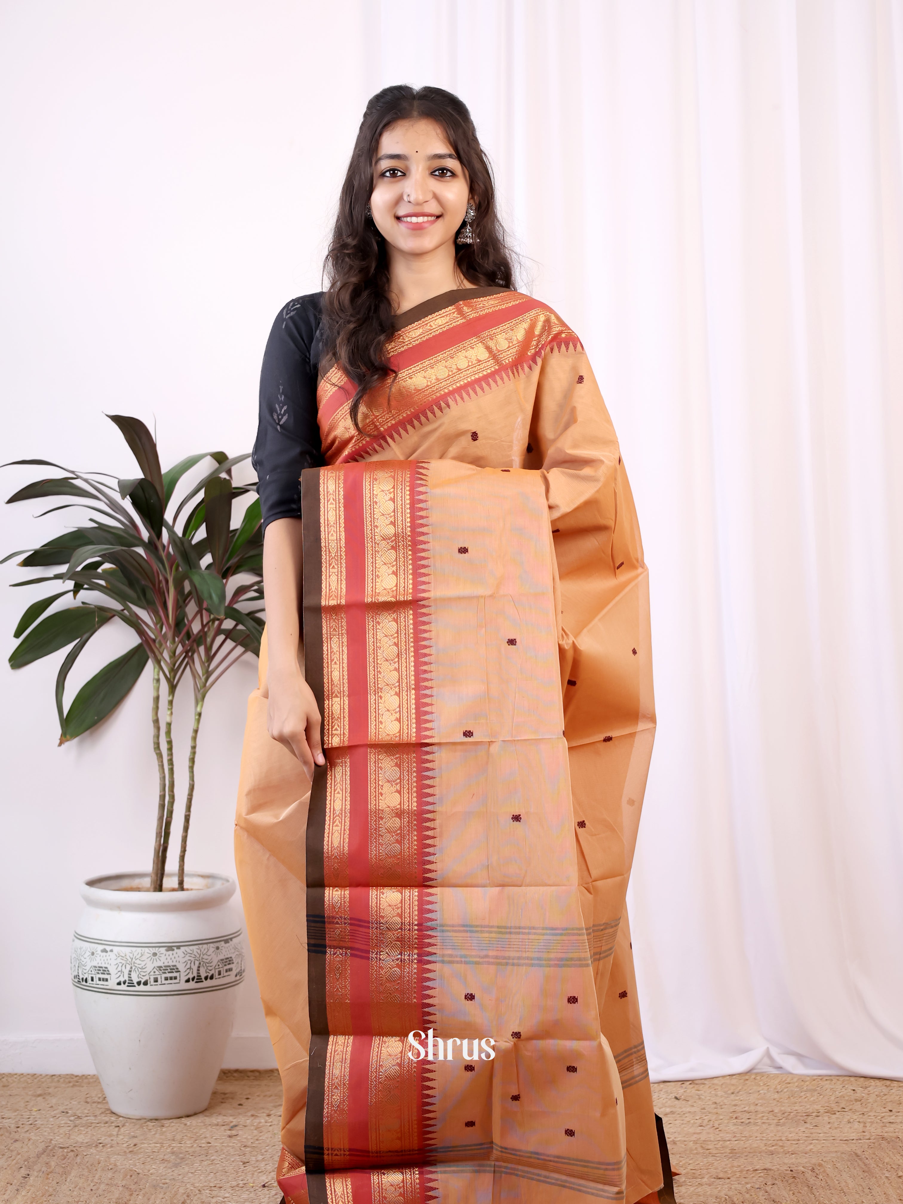 Lite Brown & Red - Chettinad Cotton Saree - Shop on Shrus.com