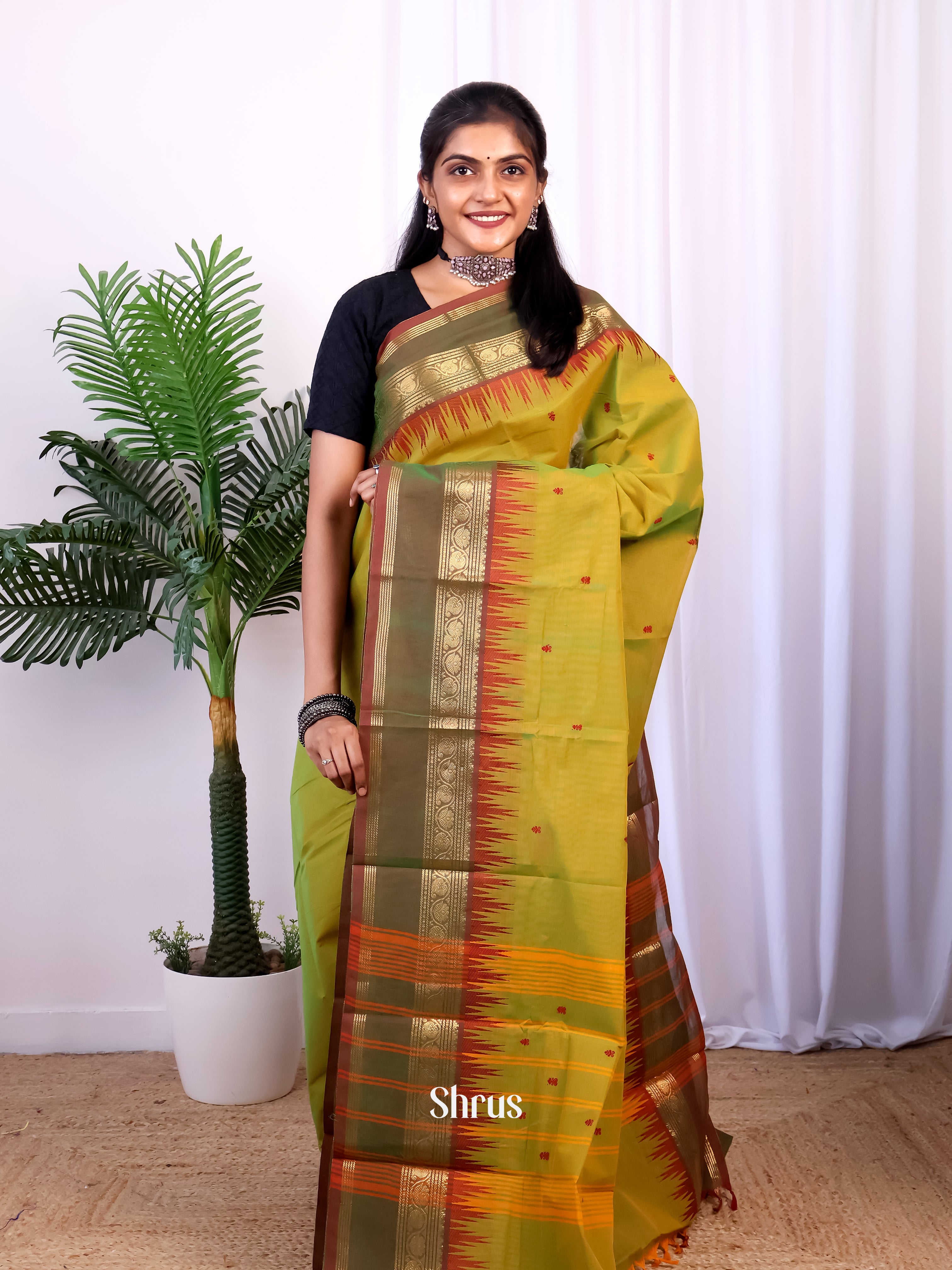 Mehandi Green & Green - Chettinad Cotton Saree - Shop on Shrus.com