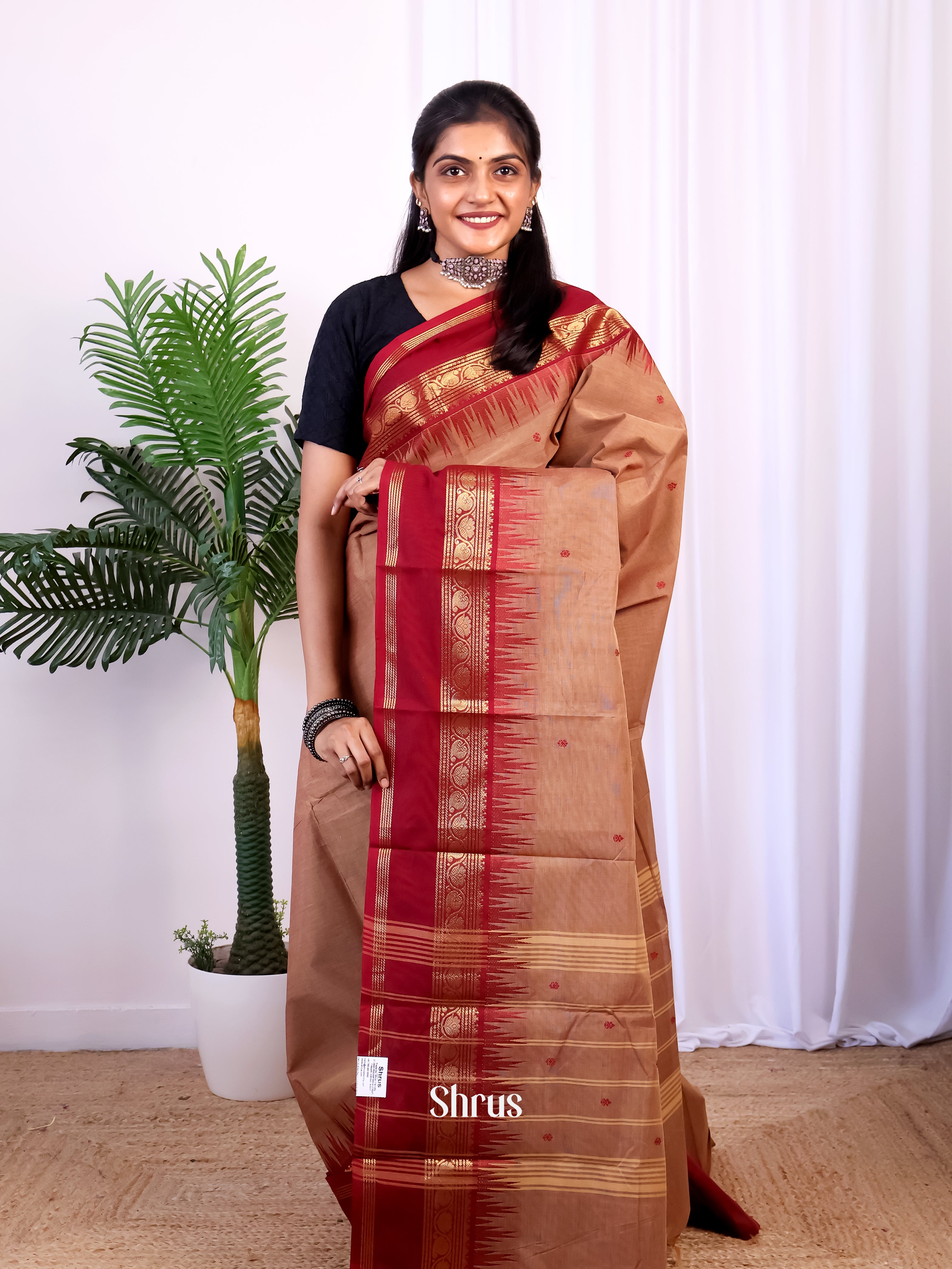 Lite Brown & Brown - Chettinad Cotton Saree - Shop on Shrus.com
