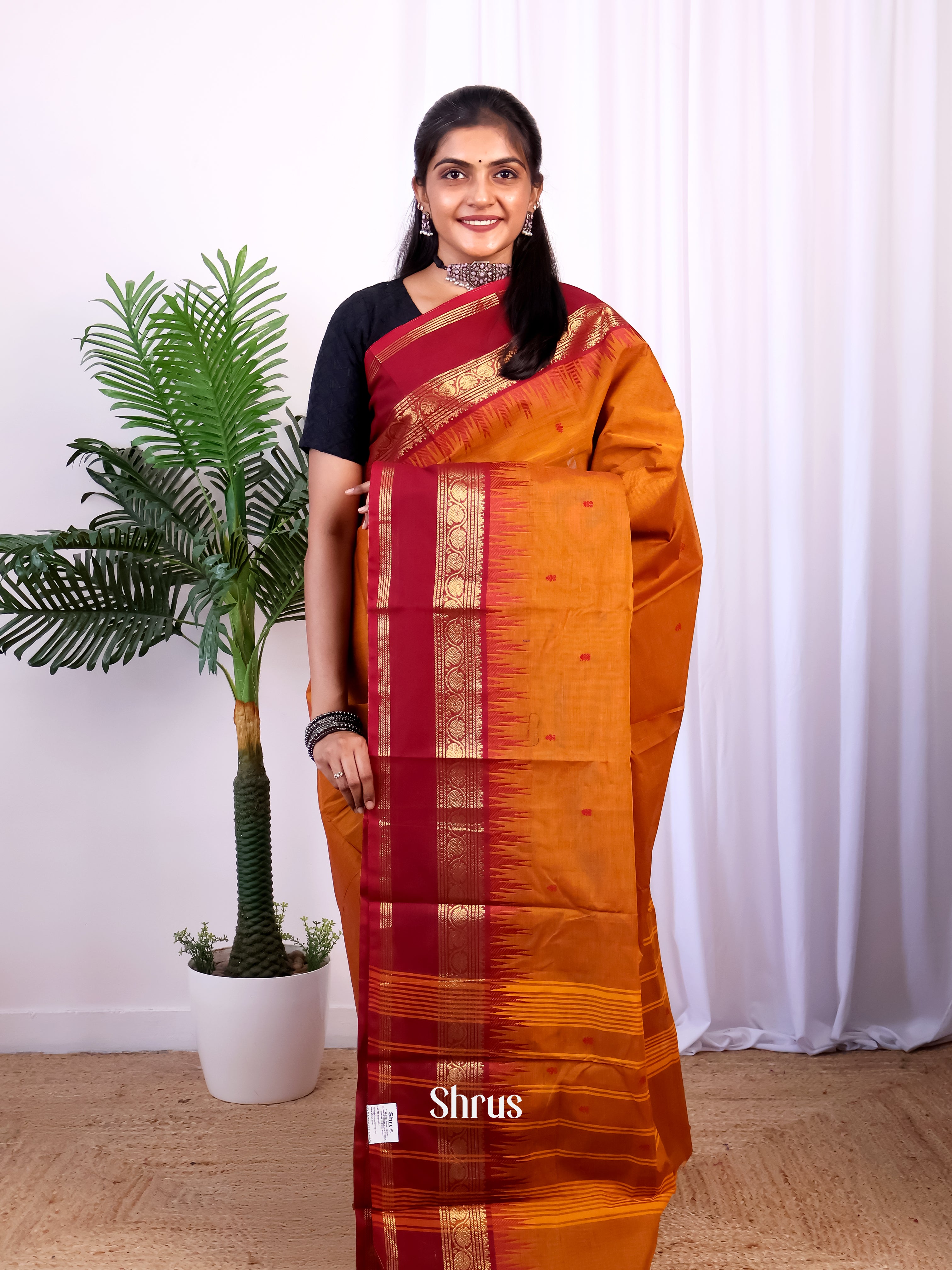 Mustard & Brown - Chettinad Cotton Saree - Shop on Shrus.com