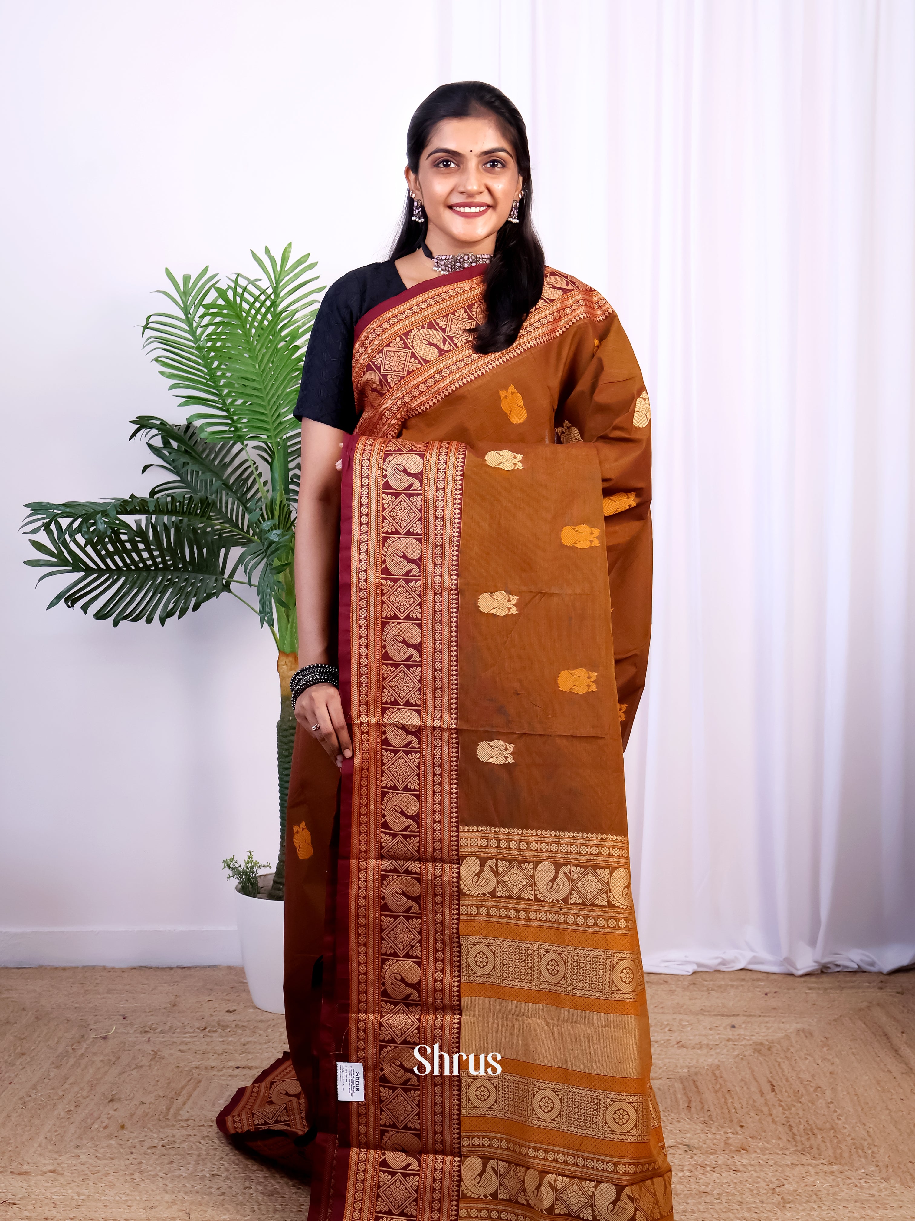 Brown - Chettinad Cotton Saree - Shop on Shrus.com