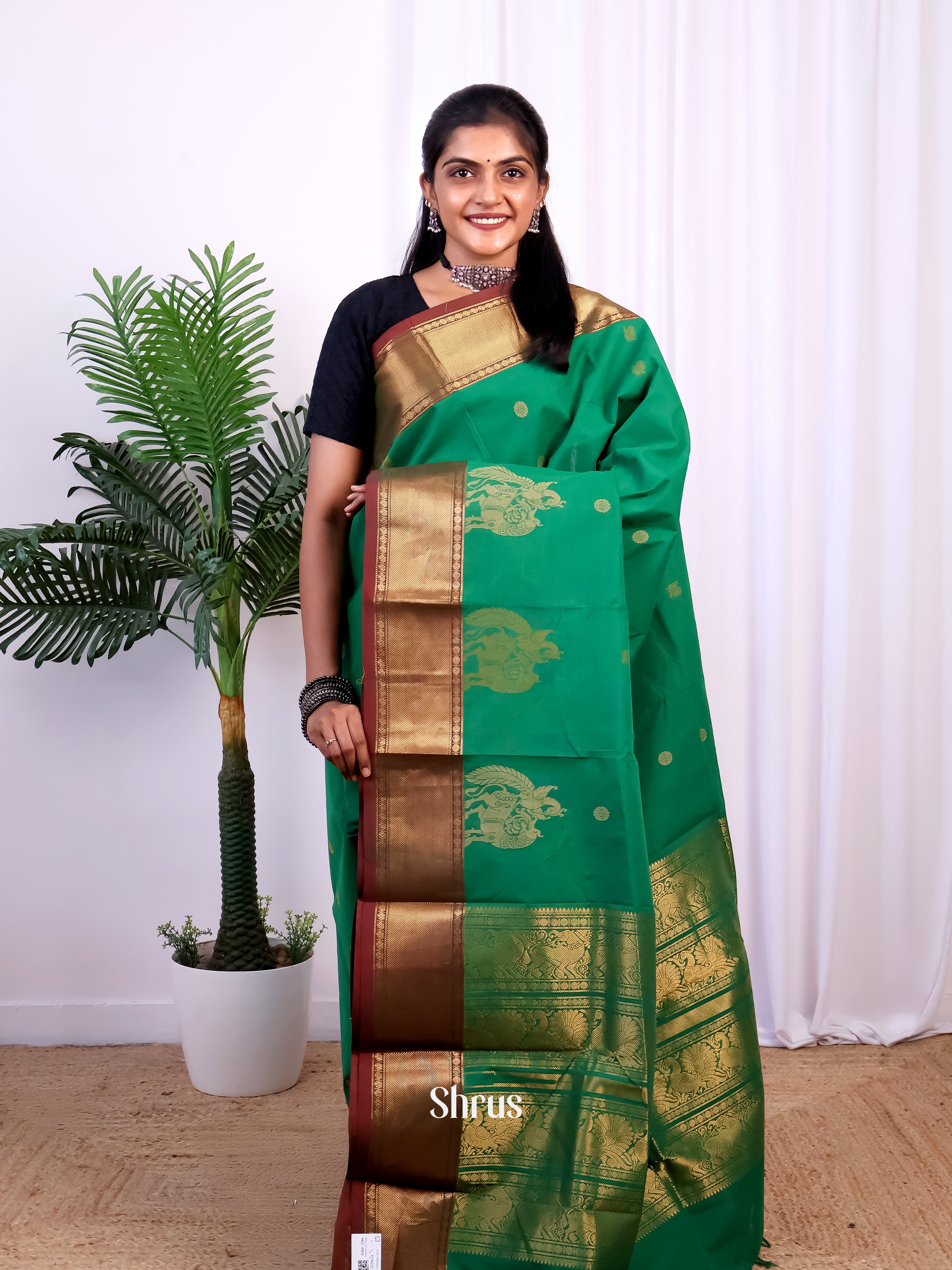 Green & Brown - Chettinad Cotton Saree - Shop on Shrus.com