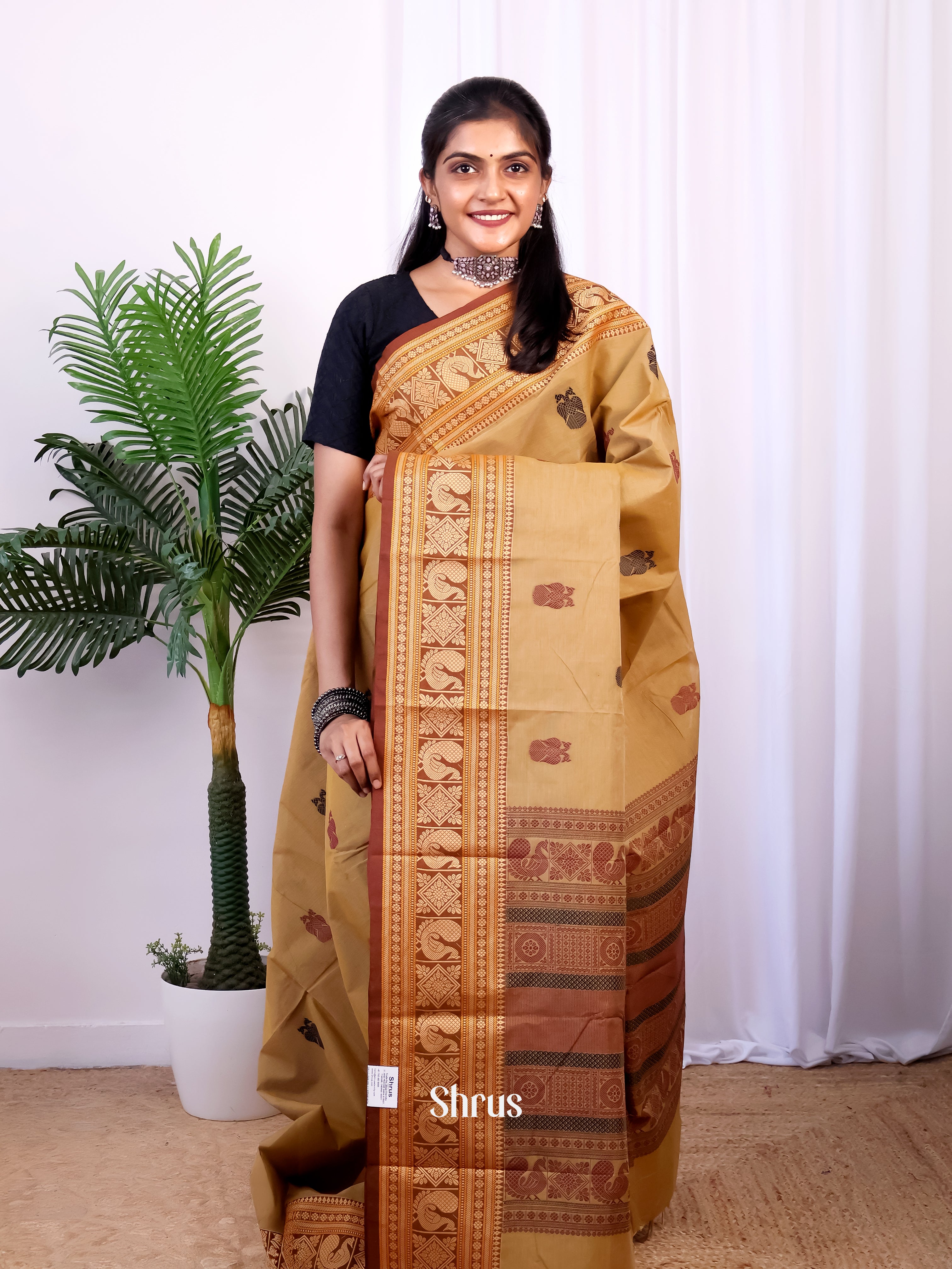 Beige & Brown- Chettinad Cotton Saree - Shop on Shrus.com