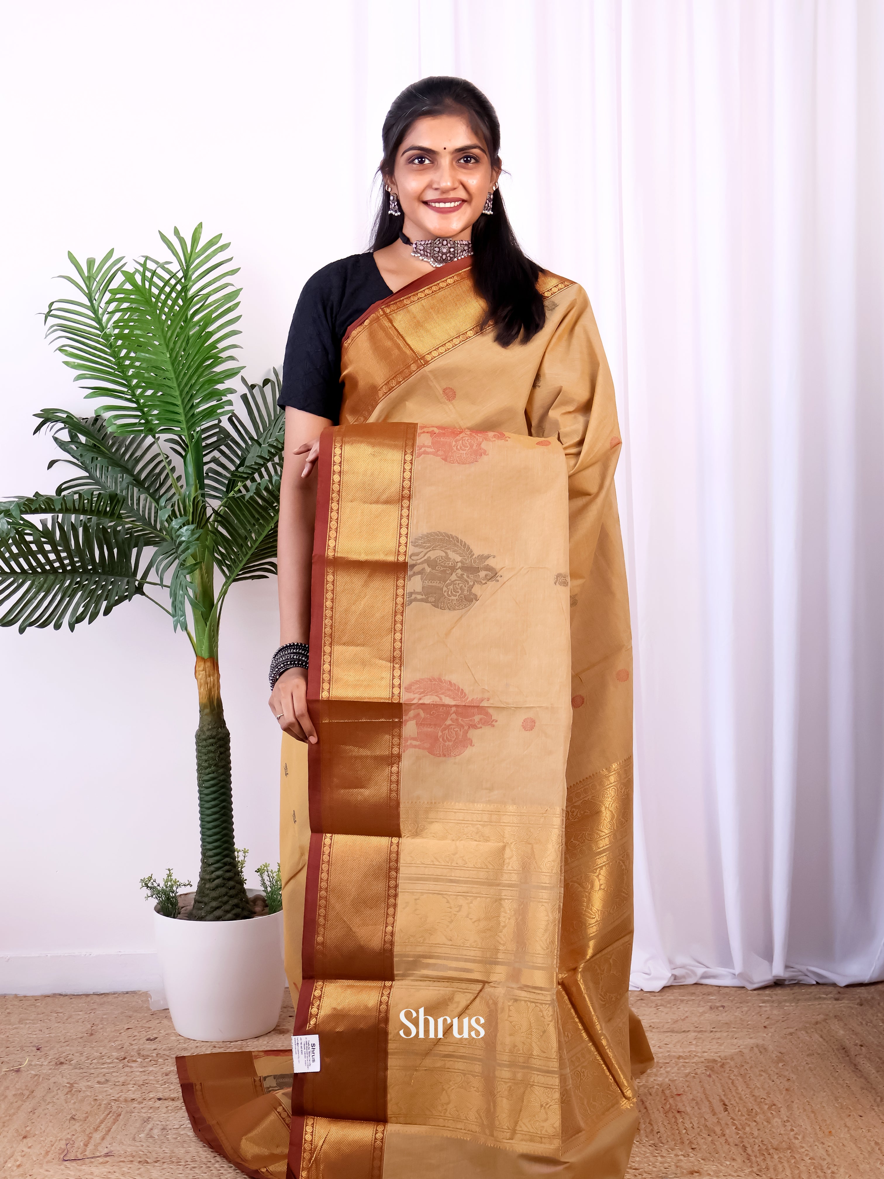 Beige & Brown - Chettinad Cotton Saree - Shop on Shrus.com