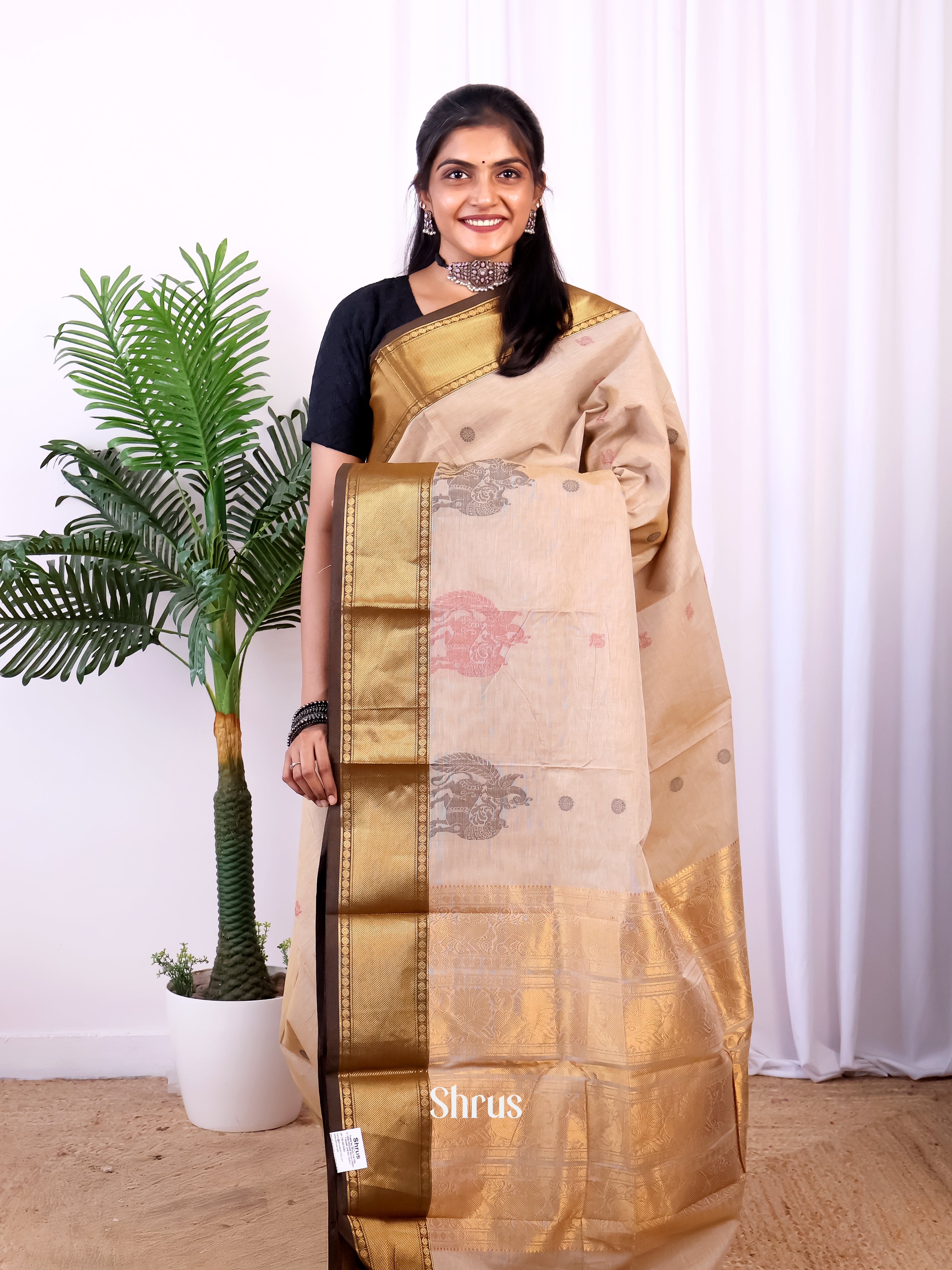 Cream & Brown - Chettinad Cotton Saree - Shop on Shrus.com