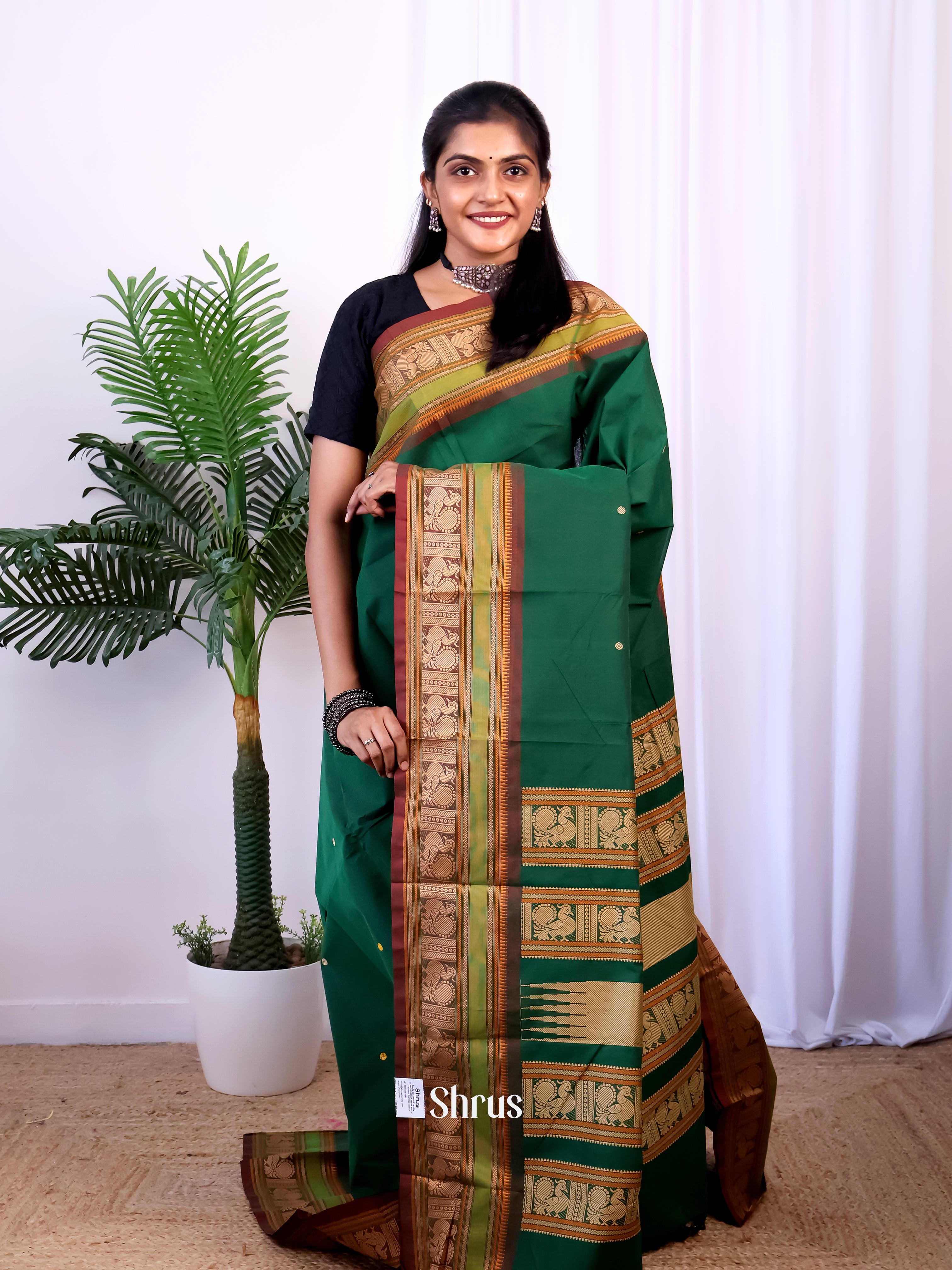 Green & Brown - Chettinad Cotton Saree - Shop on Shrus.com