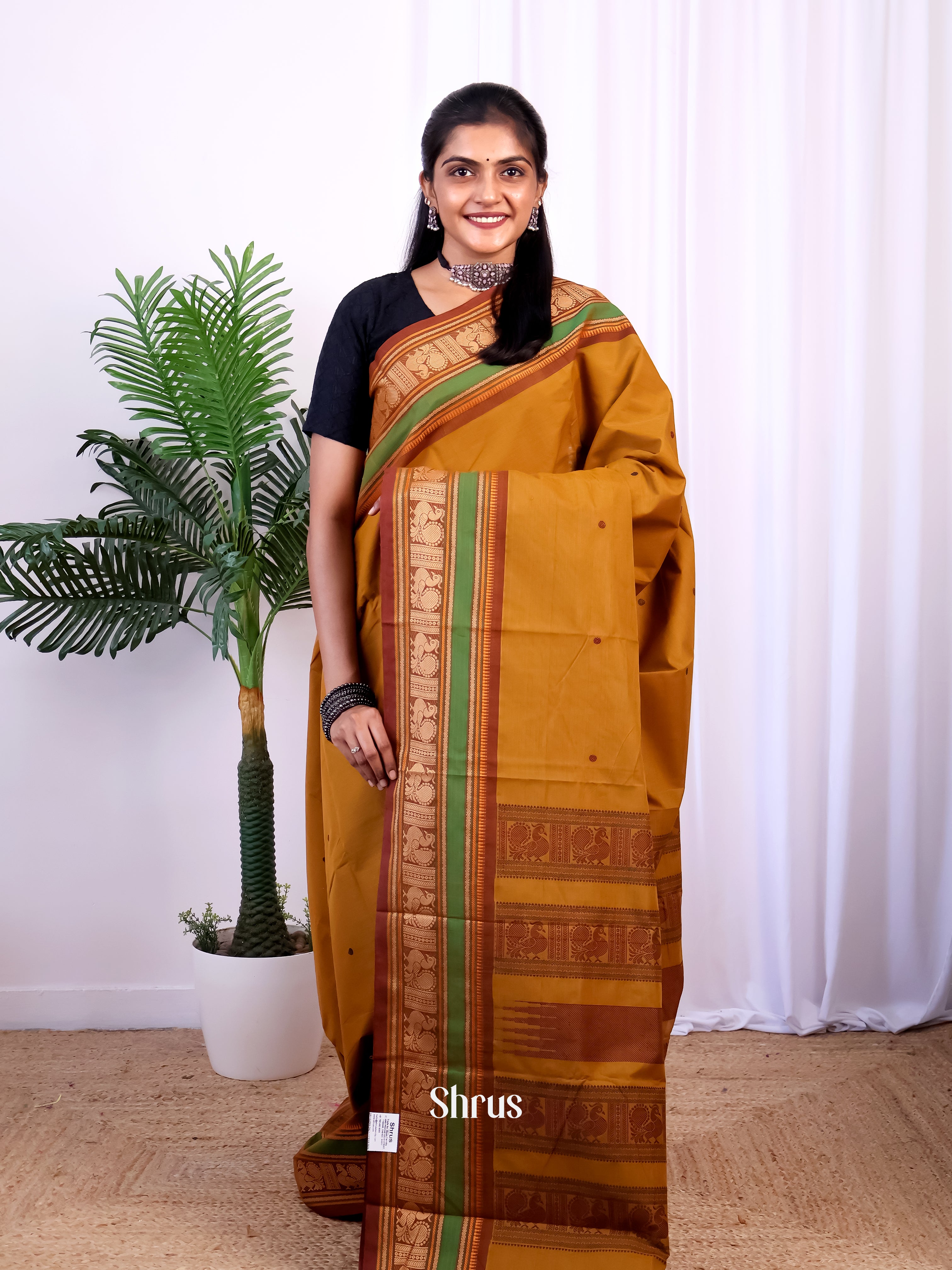 Golden Brown & Brown- Chettinad Cotton Saree - Shop on Shrus.com