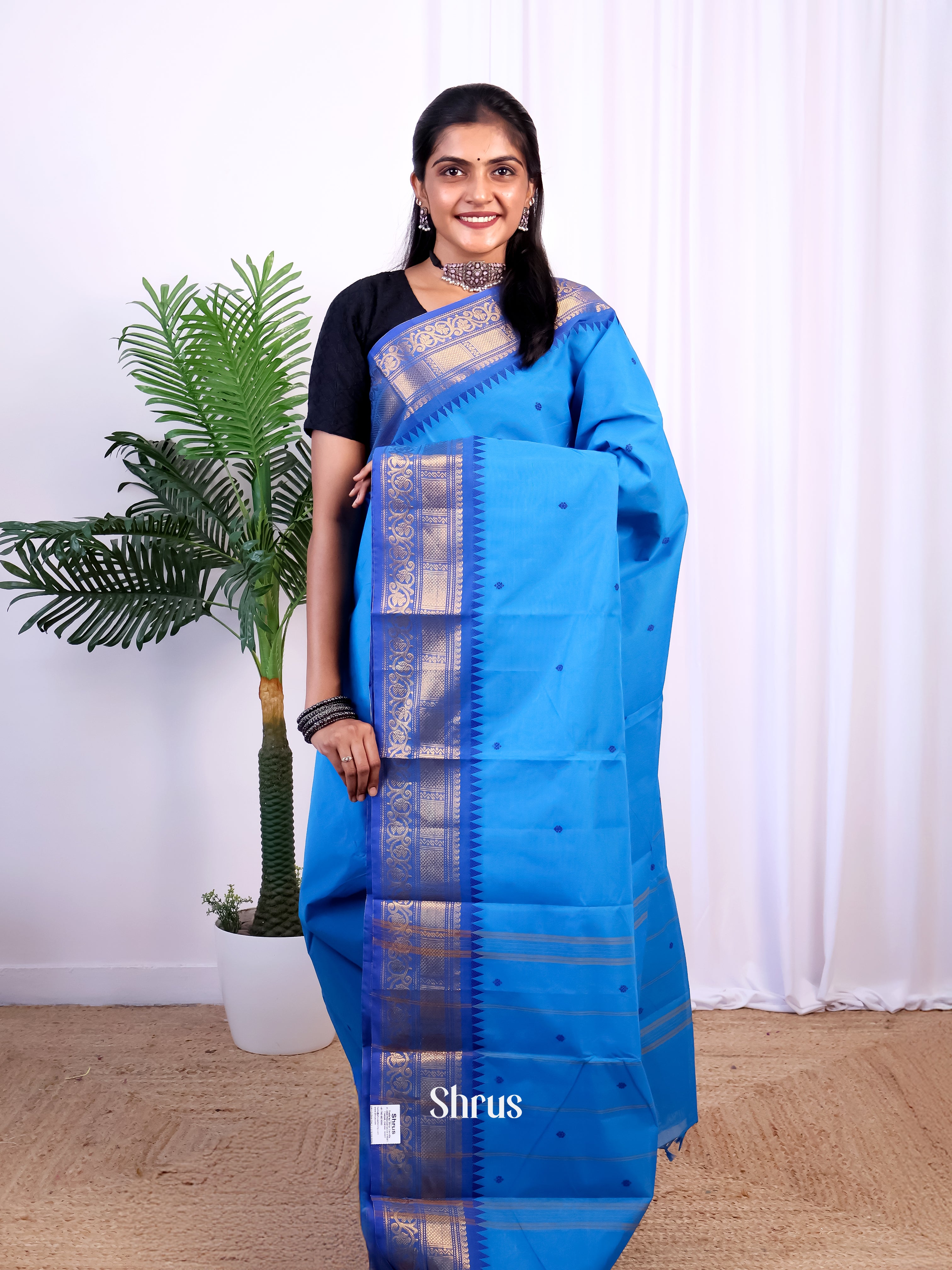 Blue - Chettinad Cotton Saree - Shop on Shrus.com